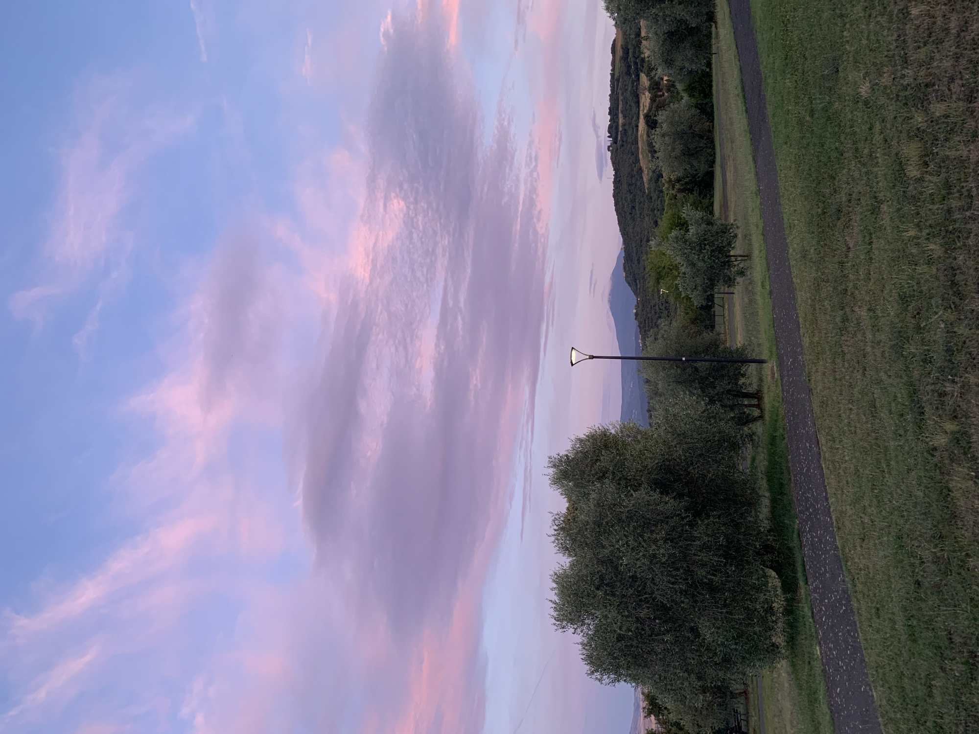 The image depicts an outdoor scene in San Quirico d'Orcia, Italy, at dusk or dawn. A paved pathway, likely a walking trail, curves through a grassy area with several olive trees scattered throughout. In the background, rolling hills covered in trees and vegetation rise to meet a sky filled with wispy clouds tinged with pink and purple. A single lamppost stands near the pathway, illuminating the immediate surroundings. The overall atmosphere is serene and natural, characteristic of a rural or park-like setting.