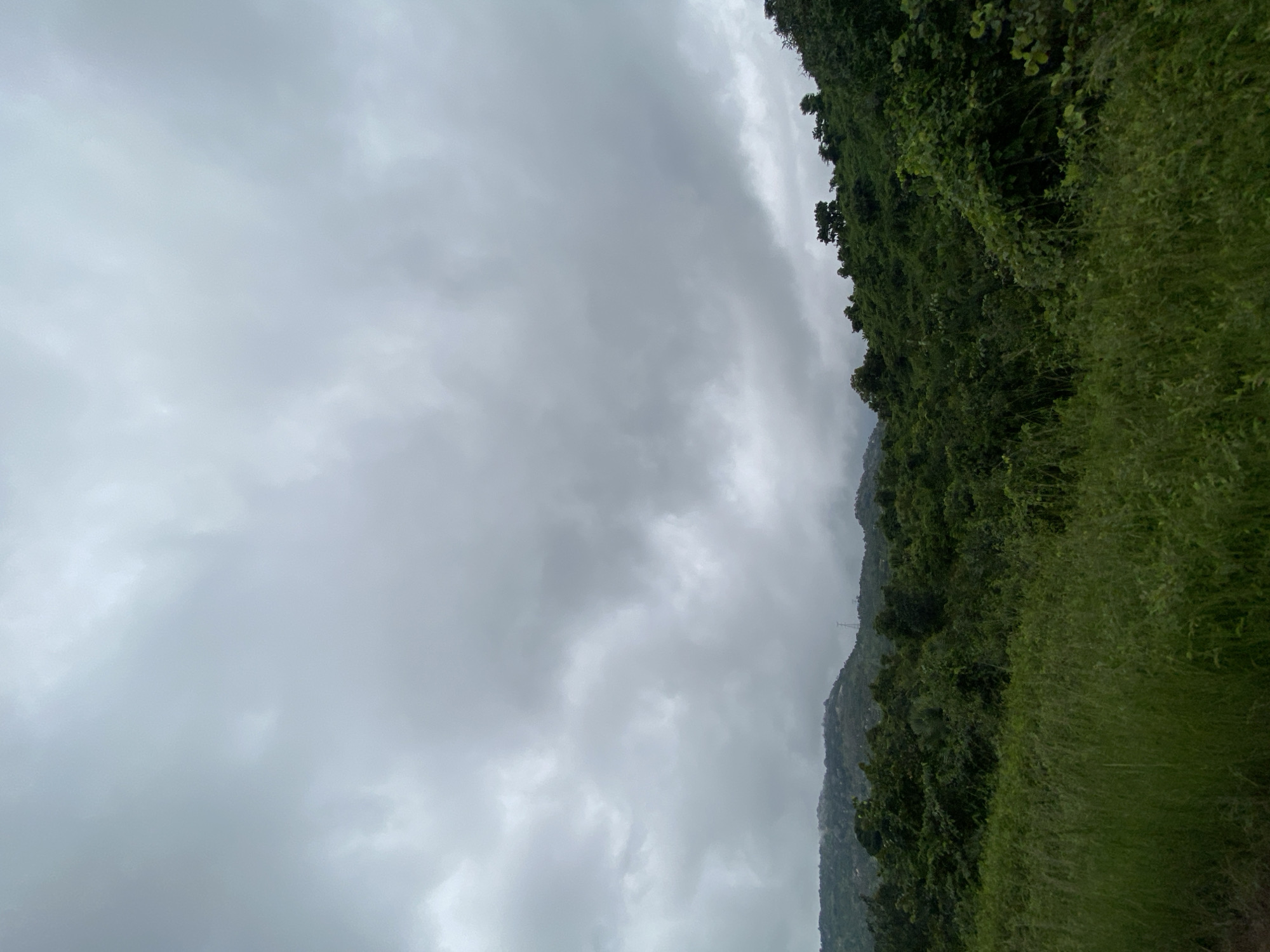The image depicts a cloudy, overcast sky over a lush green, hilly landscape. The foreground is dominated by tall, wild grass, with a faint brown dirt path visible on the far left edge. Behind the grass, dense green foliage covers the rolling hills, with various trees and vines creating a thick, verdant canopy. In the distance, the hills recede, their slopes dotted with vegetation. A single, tall, slender structure, possibly a radio tower or utility pole, is visible on the crest of one of the distant hills. The overall scene suggests a natural, undeveloped environment, likely in a rural or semi-rural setting within Assob Hausa, Nigeria. There are no people or animals visible in the image.