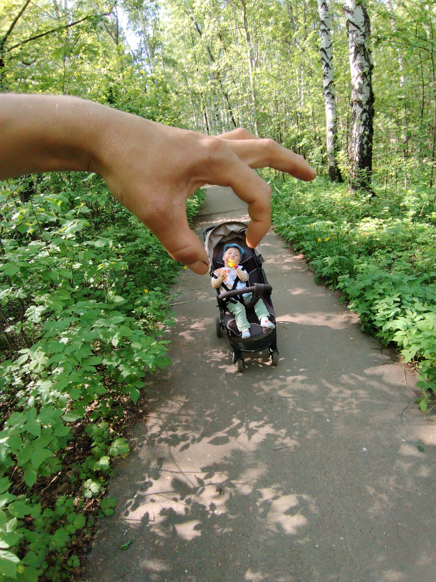 The image shows a person's hand in the foreground, seemingly about to "pinch" a baby sitting in a stroller on a path. The path leads through a forest, with dense green foliage on either side and tall, thin birch trees in the background. The baby is wearing a blue hat, a striped shirt, green pants, and white shoes, and is holding a yellow object. The photo utilizes forced perspective to create the illusion of the hand interacting with the baby in the stroller. It is impossible to confirm the location is Chaikovsky, Russia, without additional information.
