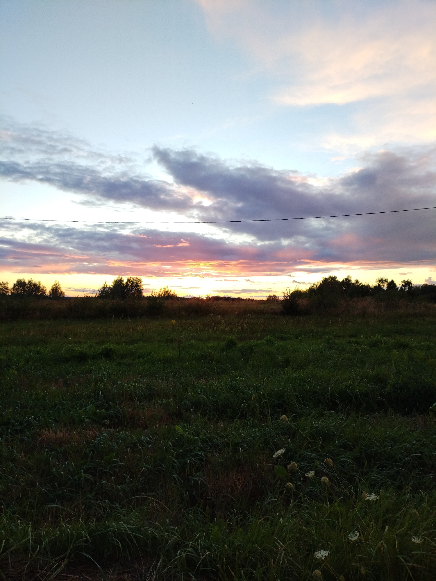 This is a horizontal, full-frame, eye-level outdoor photograph taken in the city of Bialynichy, Belarus. The image depicts a natural landscape at sunset. The sky is a blend of soft blues, pinks, and oranges, with scattered clouds tinged by the setting sun. A thin, dark power line stretches horizontally across the upper third of the frame. Below the sky, a line of trees forms a dark silhouette against the horizon. In the foreground, a field of green grass extends towards the viewer, with some dried stalks and a few white flowers visible. The overall scene is serene and captures the beauty of a rural sunset.