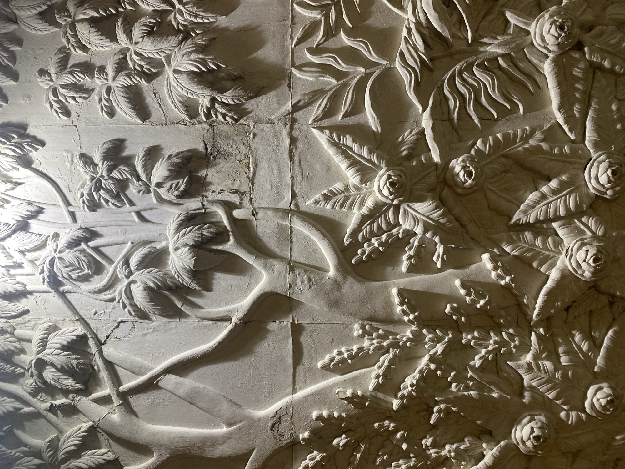 This media file captures an ornate, high-relief plaster or stucco carving adorning a wall or ceiling, indicative of a historical interior space in Moscow, Russia. The primary subjects are intricate botanical motifs, featuring various types of leaves, prominent rose-like blossoms, and intertwining branches or vines.
On the left and upper sections, large, multi-lobed leaves, possibly acanthus or palm fronds, are clearly visible. The right side and bottom right of the composition showcase several distinct rose blossoms with layered petals, surrounded by smaller, clustered foliage. Thick, organic branches or stems weave throughout the design, connecting the different floral elements.
The white or off-white material of the carving is deeply textured. Strong, directional lighting, appearing to originate from the left and slightly above, casts dramatic shadows that emphasize the three-dimensional depth and intricate details of the relief. Visible imperfections include cracks and seams, particularly noticeable along horizontal and vertical lines in the center, suggesting the relief might be composed of multiple panels or has sustained damage over time. Some areas also show wear, with slight discoloration or rougher textures. The overall aesthetic is classical and elegant, typical of grand architectural decoration. No people are present, and no text is visible.