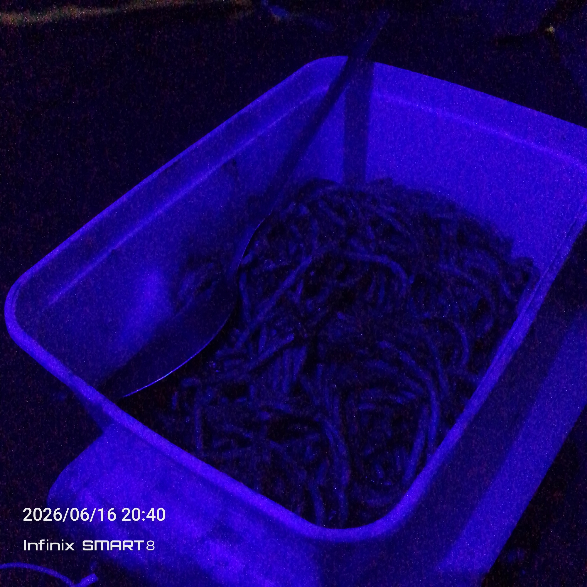 The image depicts a close-up, high-angle view of a clear plastic container filled with numerous small, dark, elongated objects that appear to be earthworms or insect larvae. The container is illuminated by a vibrant blue light, casting a strong blue hue over the entire scene. A metallic utensil, possibly a spoon or scoop, is partially visible, resting within the container and among the contents. The background is dark and out of focus, with some texture suggesting fabric or a rough surface. Text overlays on the bottom left of the image indicate the date "2026/06/16 20:40" and the device "Infinix SMART 8". The overall impression is that of a sample or collection of biological specimens being examined or prepared under a blue light, possibly in a laboratory or research setting. There is no visible indication of the city of Jos, Nigeria, within the image itself.