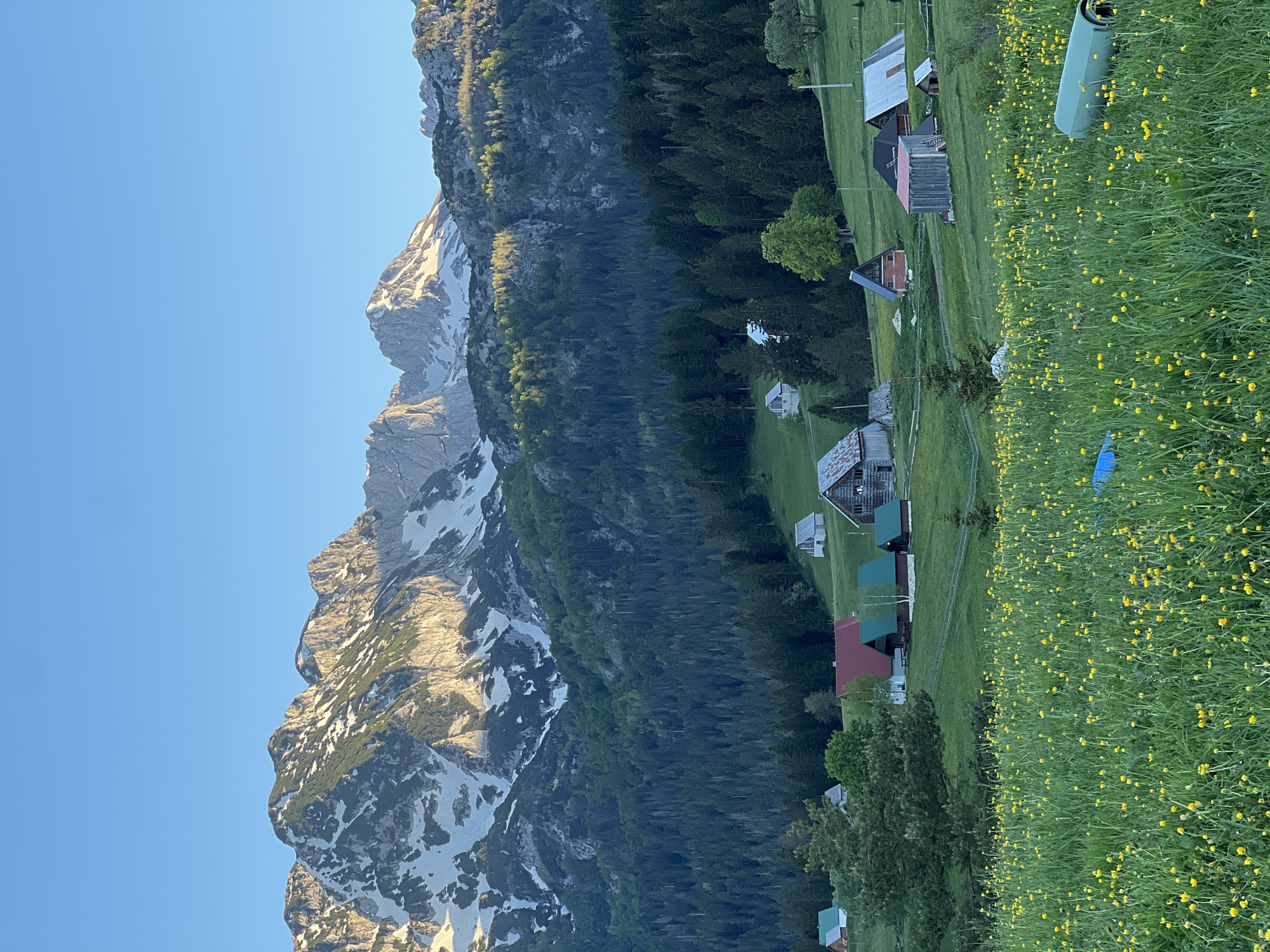 The image shows a view of the mountains near Pitomine, Montenegro, with a village nestled in the valley below. The foreground is filled with a field of green grass dotted with small yellow wildflowers. Several wooden buildings with varied roof colors (grey, green, red) are scattered throughout the landscape, connected by grassy pathways. The mountain range on the left dominates the scene, its rocky peaks streaked with snow. A dense forest of evergreen trees covers the lower slopes of the mountain, transitioning into the green valley where the village is located. The sky above is clear and blue.