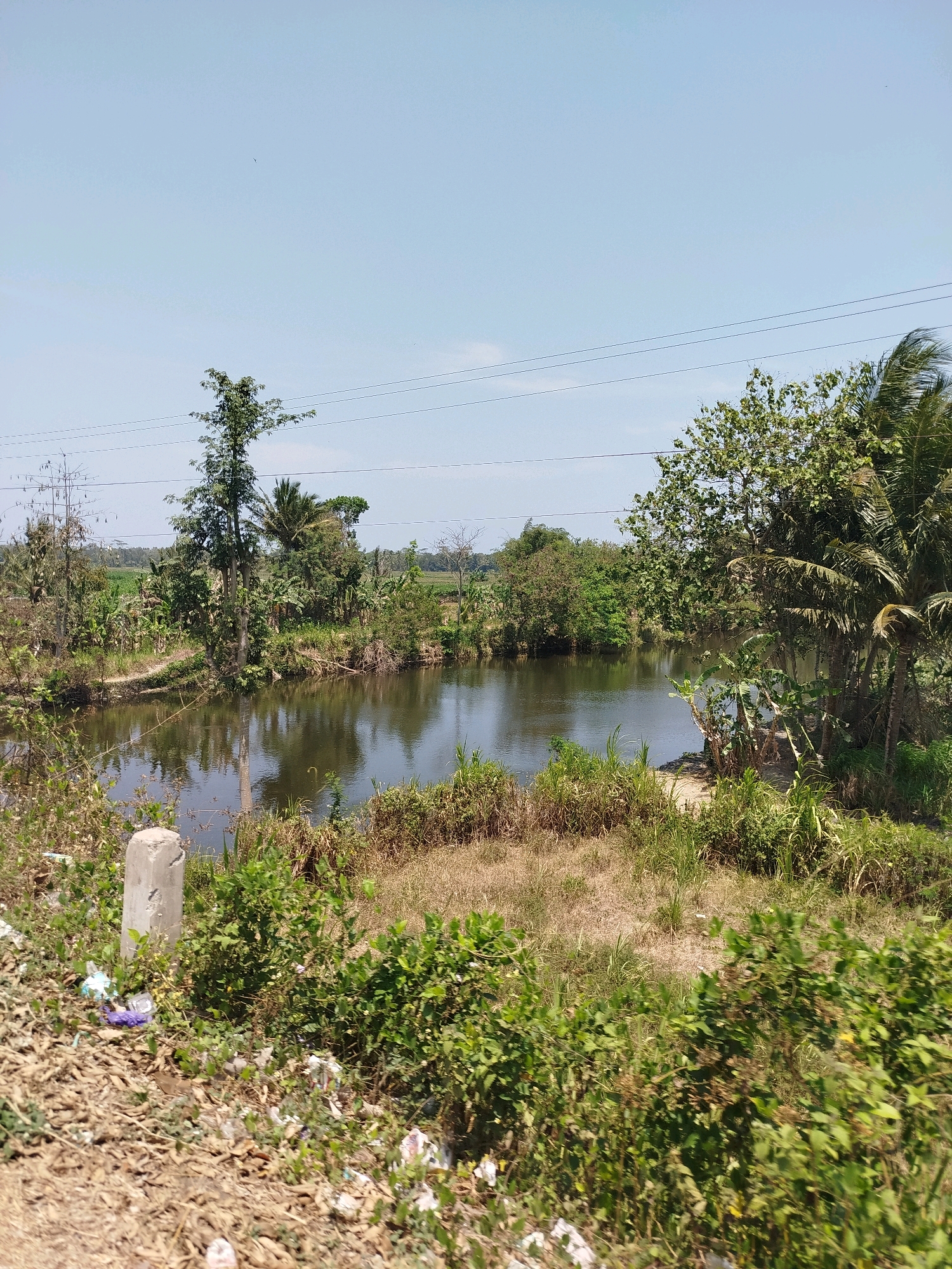 The image depicts a serene rural landscape with a body of water reflecting the clear blue sky. On the left bank, a slender tree stands tall, its reflection clearly visible in the calm water. The surrounding vegetation is lush and varied, with some plants appearing dry and others vibrantly green, suggesting a tropical climate. In the foreground, the ground is covered with dry leaves and scattered pieces of white and purple plastic trash, indicating some level of human activity and waste disposal issues in the area. The presence of power lines in the upper portion of the image suggests that this location, though rural, is connected to infrastructure. The overall scene conveys a sense of natural beauty juxtaposed with environmental neglect. This scene is located in Tanjungsari, Indonesia.