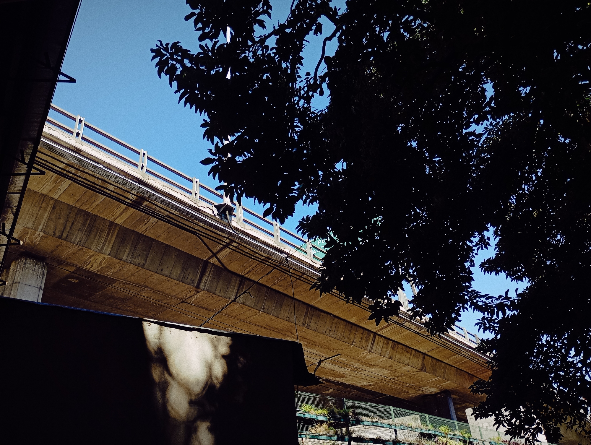 The image shows an elevated concrete structure, possibly a highway or bridge, from a low-angle perspective. A dark tree branch with dense foliage dominates the right side of the frame, obscuring parts of the structure and the sky. The concrete structure has a pedestrian or traffic barrier along its edge. Underneath the structure, there's a glimpse of a green, fenced area with vegetation. The sky is visible in the upper left corner, appearing bright blue. The location is likely Buenos Aires, Argentina, based on the architectural style and urban environment.
