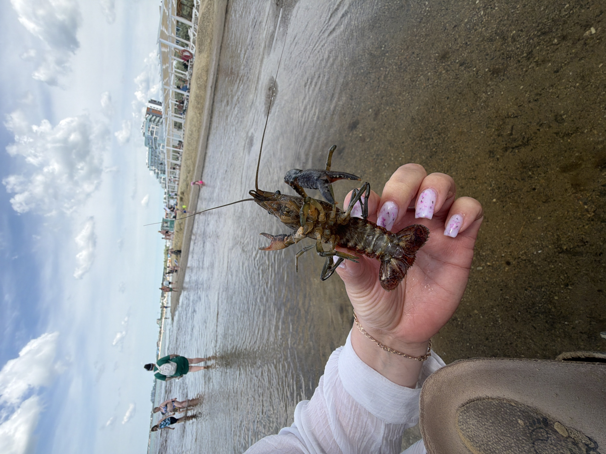 This daytime image, taken at the city of Unknown, Unknown, captures a close-up of a live crayfish held in a person's hand against a backdrop of a bustling waterfront. In the foreground, a person's right hand, adorned with light pink nail polish featuring subtle white floral patterns and a thin gold-colored chain bracelet, holds a dark greenish-brown crayfish measuring approximately 15-20 cm in length. The crayfish displays prominent antennae and visible claws, one of which appears darker, possibly blue-black. Part of a white, textured long-sleeved shirt and a light-colored straw hat are also visible on the person holding the crayfish.
The midground features a shallow body of water, possibly a river or estuary, with a clear, sandy bottom. To the left, several individuals are wading in the water; one person with a white backpack faces away from the camera, while two women in swimsuits (one blue patterned, one pink) are partially visible. To the right, a sandy bank runs parallel to the water, where multiple white shaded structures with sun loungers are set up, occupied by people. A red lifebuoy hangs from one of these structures.
In the background, beyond the beach, several multi-story modern buildings with light-colored facades are visible under a partly cloudy sky. The sky is light blue with scattered white cumulus clouds. The water extends towards the horizon on the left, indicating a larger body of water, possibly the sea.