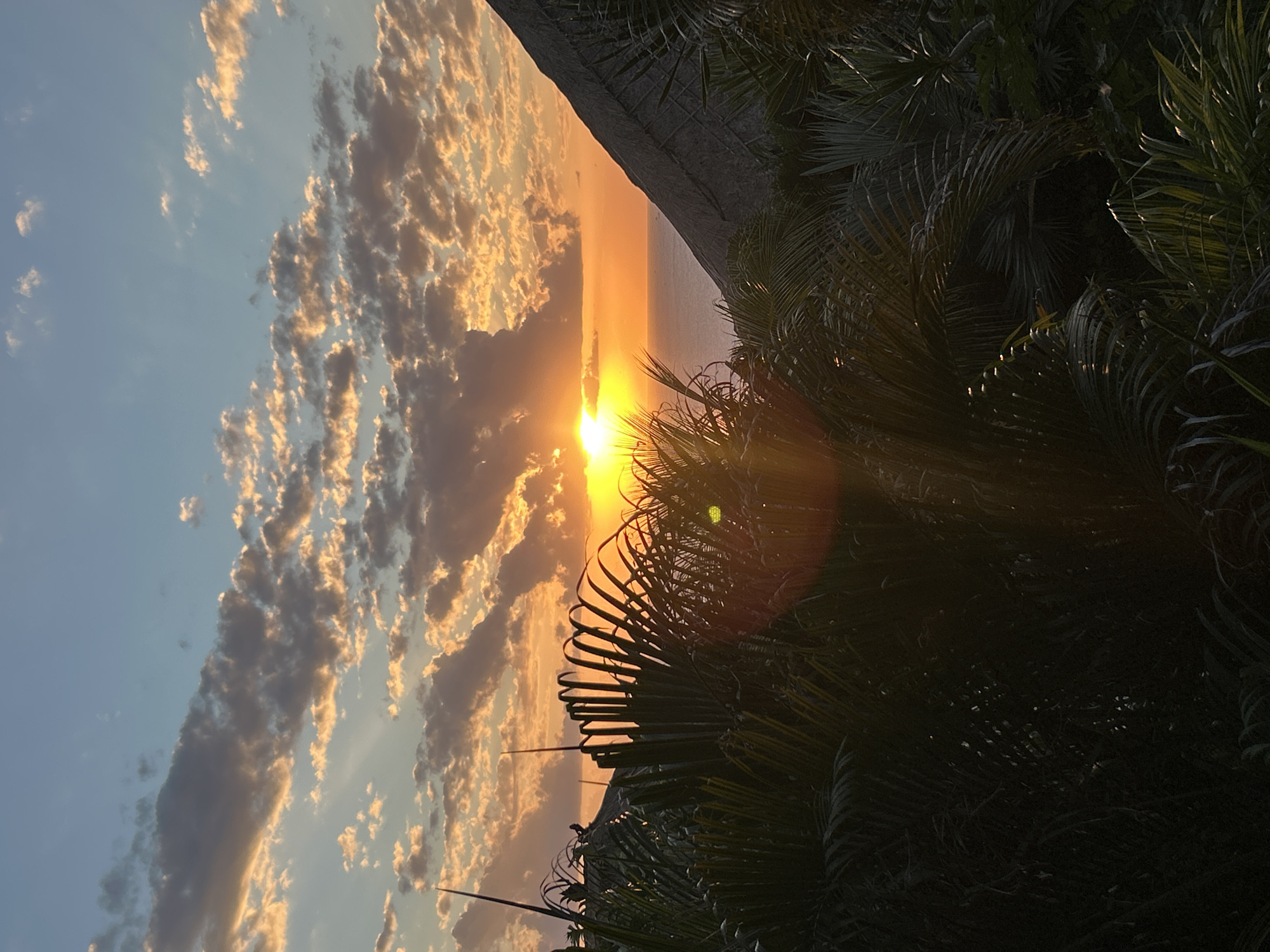 A sunset over the ocean is depicted. The sun, a bright orange orb, is low on the horizon, casting a warm glow across the sky. Clouds, tinged with orange and pink, are scattered across the sky. In the foreground, the dark silhouettes of palm fronds frame the scene. The ocean is visible in the background, a calm expanse of blue meeting the horizon. The image appears to be taken from a vantage point overlooking the coast. This scene is likely located in Kuta Selatan, Bali, Indonesia, given the tropical vegetation and coastal setting.