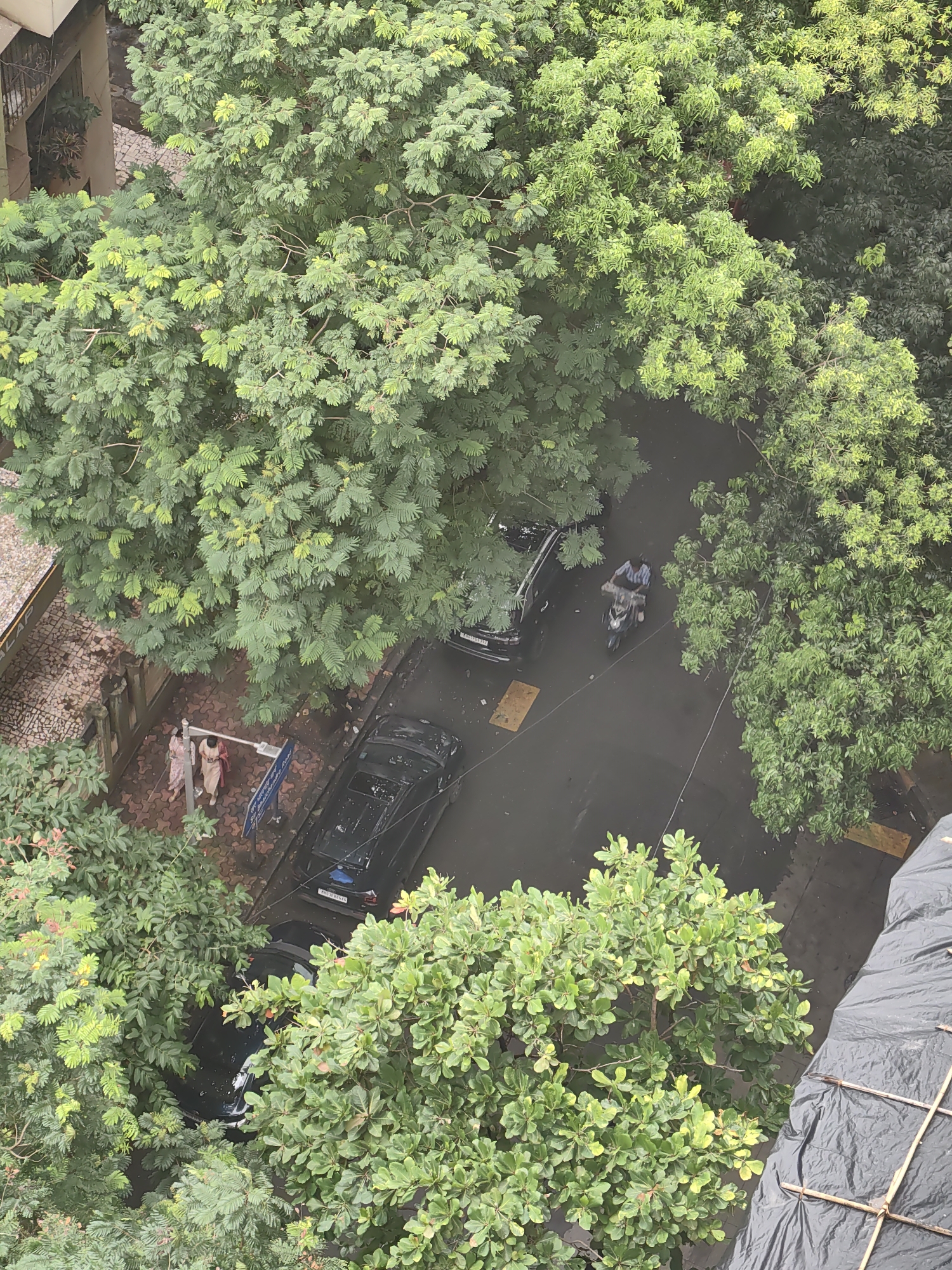 This is a high-angle aerial view of a street scene in Mumbai, India, on a cloudy day. Lush green trees dominate the frame, with their branches partially obscuring the view of the street below. The street appears to be paved with asphalt and is wet, suggesting recent rain.
Several vehicles are present:
- A black sedan is parked on the right side of the street.
- Another black sedan is parked further down the street.
- A motorcycle with a rider wearing a blue shirt and possibly carrying something on the back is moving down the street.
Two individuals, appearing to be women, are walking on the sidewalk on the left side of the street. They are wearing traditional Indian clothing, one in a light-colored sari and the other in a patterned dress. They are walking towards a blue signpost.
The environment includes a tiled sidewalk on the left, a street with parked and moving vehicles, and dense foliage from the trees. The overall impression is of a busy urban street in a tropical climate, partially shaded by abundant greenery. The presence of the two women and the vehicles indicates normal daily activity.