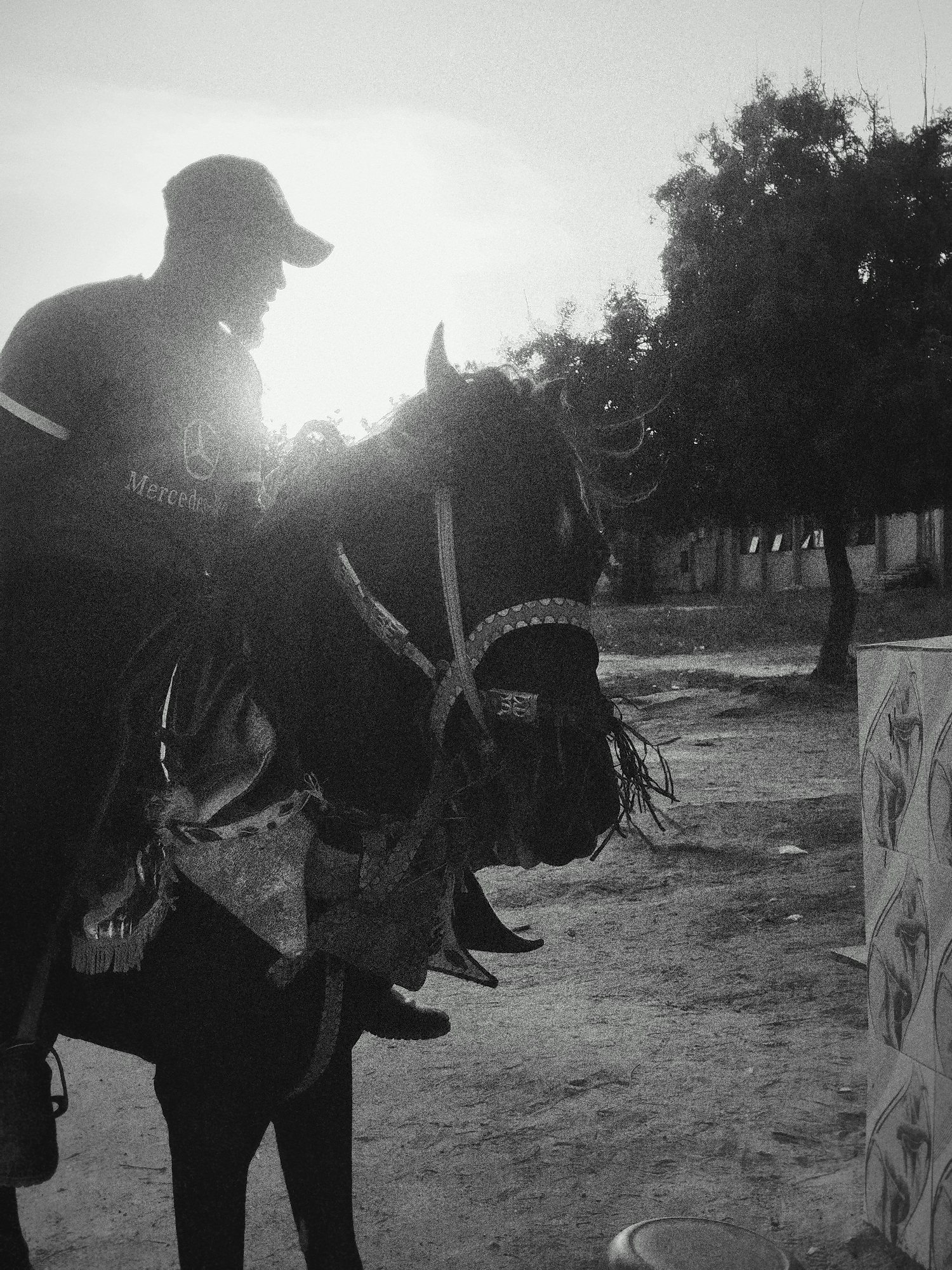 A black and white image shows a man on horseback in Keffi, Nigeria. The man, wearing a cap and a shirt with a Mercedes-Benz logo, sits on the horse, silhouetted against a bright sky. The horse wears elaborate tack. The background includes a tree, a low building, and a wall with decorative tiles. The ground is dirt.