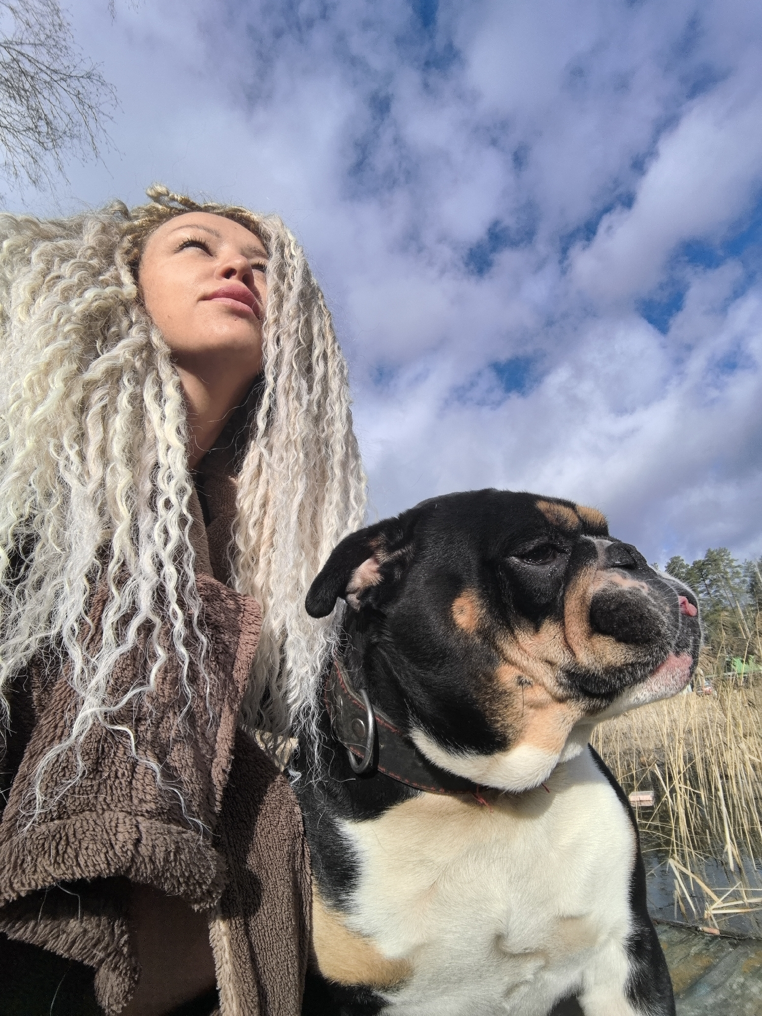 A woman with very long, light blonde, tightly coiled dreadlocks or braids is pictured outdoors with a dog. Both subjects are positioned looking upwards and to the right, under a bright blue sky dotted with scattered white clouds. The woman, whose face is partially visible and illuminated by sunlight, wears a brown, textured garment. She appears calm and contemplative. To her right is a large dog, likely a bulldog or American Bully type, with distinctive black, tan, and white markings and a black collar. The dog is also looking in the same upward direction with a focused expression. In the background, tall, dry reeds or grasses are visible on the right, suggesting a wetland or waterside environment. Bare tree branches are visible in the top left corner, while some green foliage appears on the distant horizon to the right. The strong light and shadows indicate it is daytime, under clear to partly cloudy weather. No visible text is present in the image. The scene captures a peaceful moment between the woman and her dog in a natural setting in Noviy, Russia, possibly during autumn or early spring.
