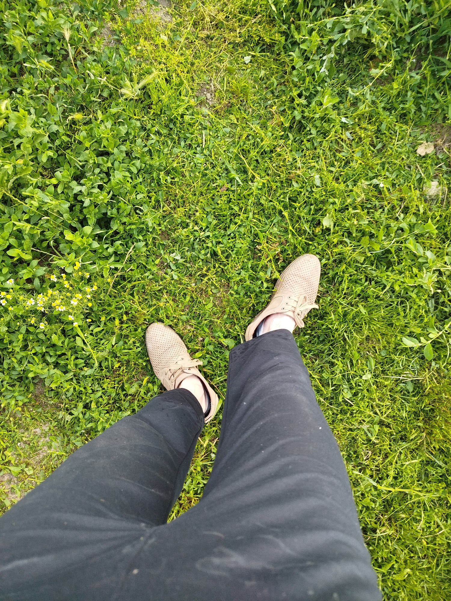 The image shows a pair of feet wearing tan shoes and black pants, standing on a patch of green grass. The grass is lush and appears to be growing in an outdoor setting. There are some small yellow and white flowers scattered among the grass. The lighting suggests it is daytime, possibly outdoors in a park or field. There are no discernable landmarks or signs of an urban environment. The perspective is from above, looking down at the feet and the ground.