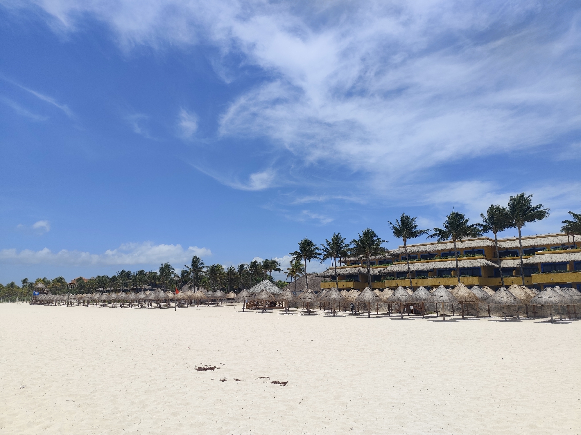 A wide shot reveals a bright, sunny day at a beach in Playa del Carmen, Mexico. The sky is a clear blue, lightly brushed with whispy clouds. The sand is pale and stretches across the foreground, showing a few footprints and scattered pieces of seaweed. A line of thatched-roof umbrellas extends along the beach, offering shade. Behind these umbrellas, palm trees sway gently in the breeze. A yellow hotel with multiple levels stands behind the trees.