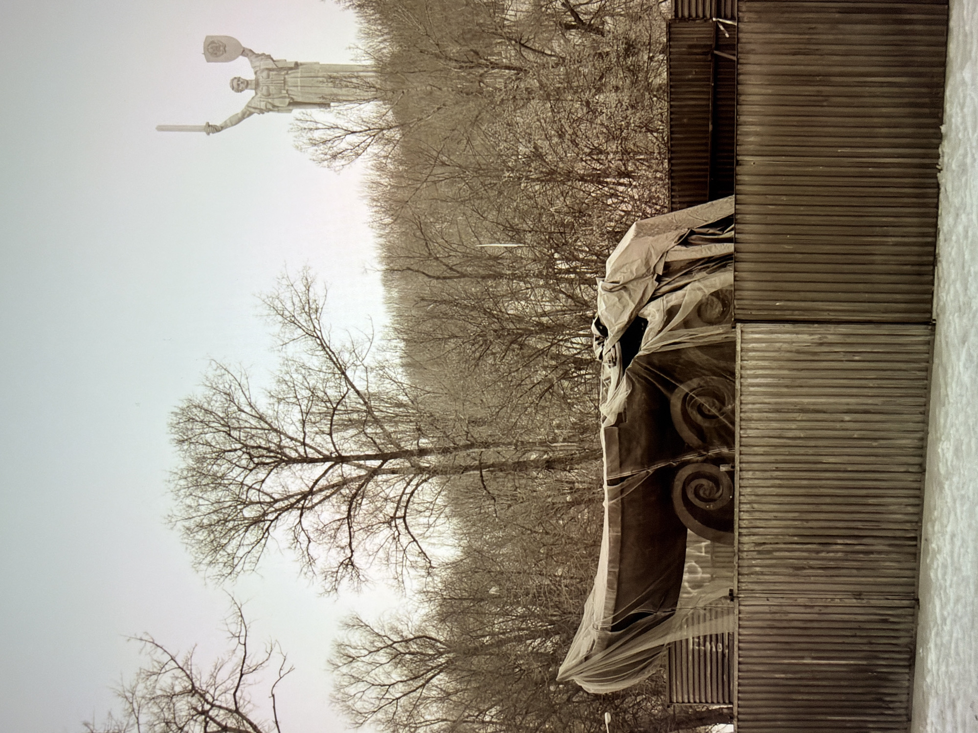 The image depicts the Motherland Monument in Kyiv, Ukraine, under a light, overcast sky. In the foreground, a section of the monument's base, covered by a tarp, is visible. The tarp is translucent, allowing the shape of a large object underneath to be discerned, with what appear to be decorative spiral elements. A weathered corrugated metal fence runs horizontally across the middle ground, separating the viewer from the monument base. Behind the fence and the tarp-covered object, a dense arrangement of bare trees stretches across the landscape, their branches stark against the pale sky. Further in the background, the upper portion of the Motherland Monument, a colossal statue of a woman holding a sword and shield, is clearly visible. The monument is made of stone and stands tall against the sky. The ground in the immediate foreground is covered in snow.
