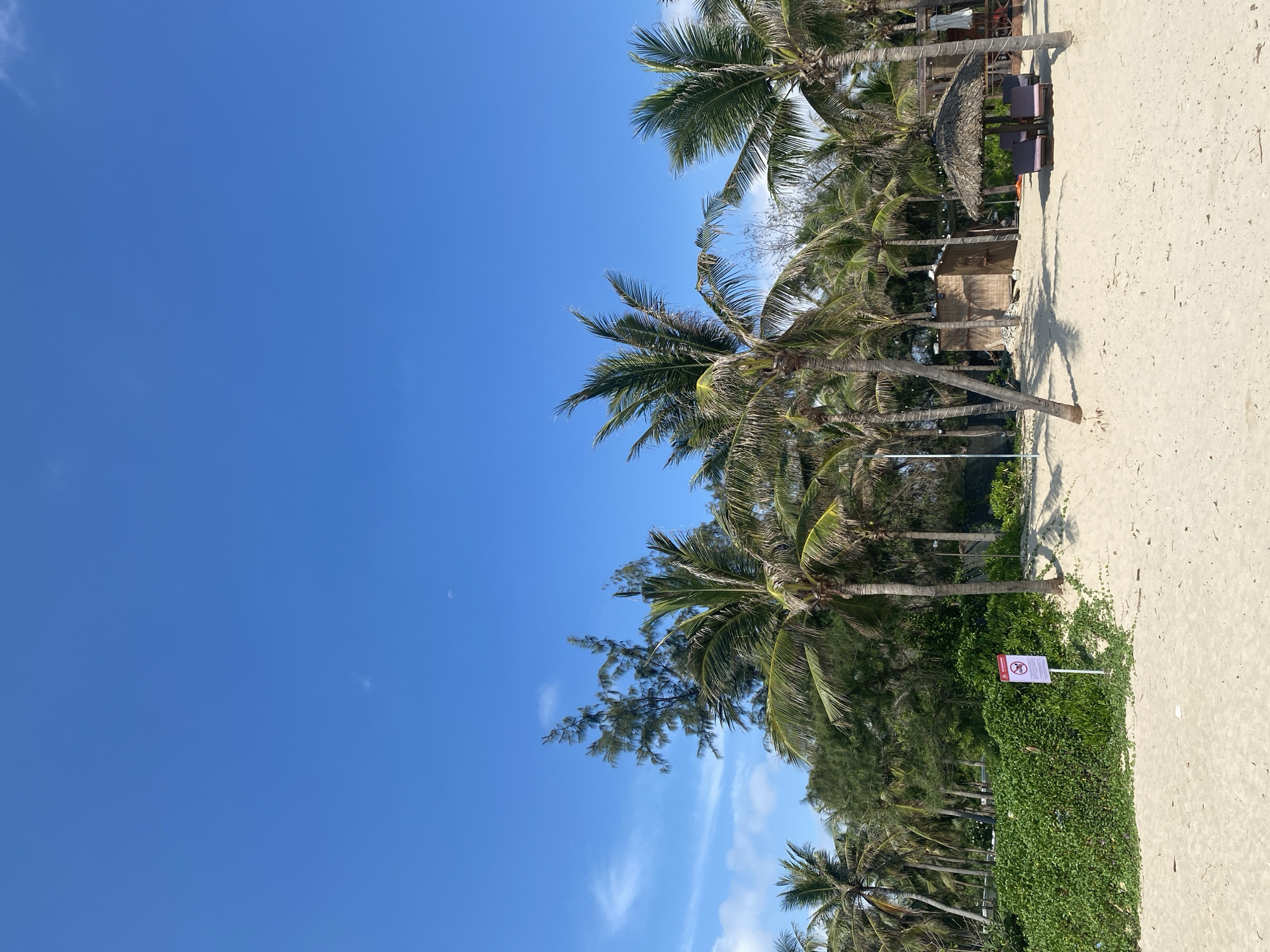 The image shows a beach in Cam Lam, Vietnam. The sky is a clear blue. Palm trees line the sandy shore. There are huts and beach furniture on the sand. Green vegetation grows along the edge of the beach, with a sign posted among it.