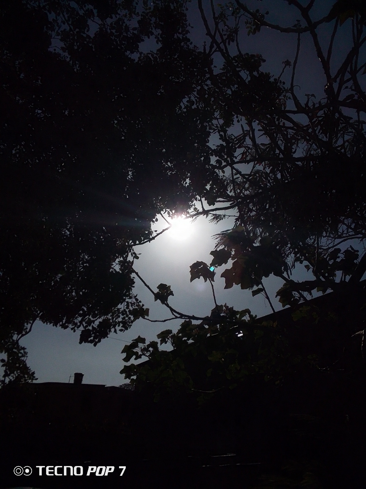 The image depicts a low-angle view of trees silhouetted against a bright, backlit sky. The sun is visible through the branches, creating a strong glare and light rays. Below the trees, a dark, indistinct structure is visible, possibly a building. The location is Altagracia, Venezuela, as indicated by the EXIF data. The overall scene is dark and the foreground is underexposed. The camera used was a Tecno Pop 7, indicated by the watermark on the bottom left corner.