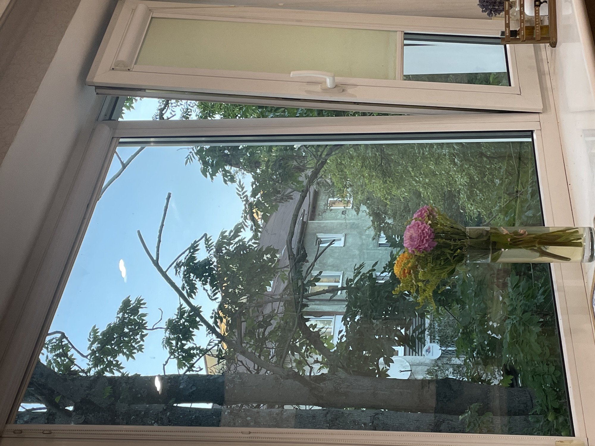 The image shows a view through a slightly opened window in what appears to be an apartment in Kaliningrad, Russia. Outside the window, trees and a building are visible. A bouquet of flowers in a glass vase is placed on the windowsill in the foreground. There are no people or animals in the image. The sky is clear with a few faint clouds. The building outside is light green with white-framed windows. A roll-down blind is partially visible on the interior of the window.