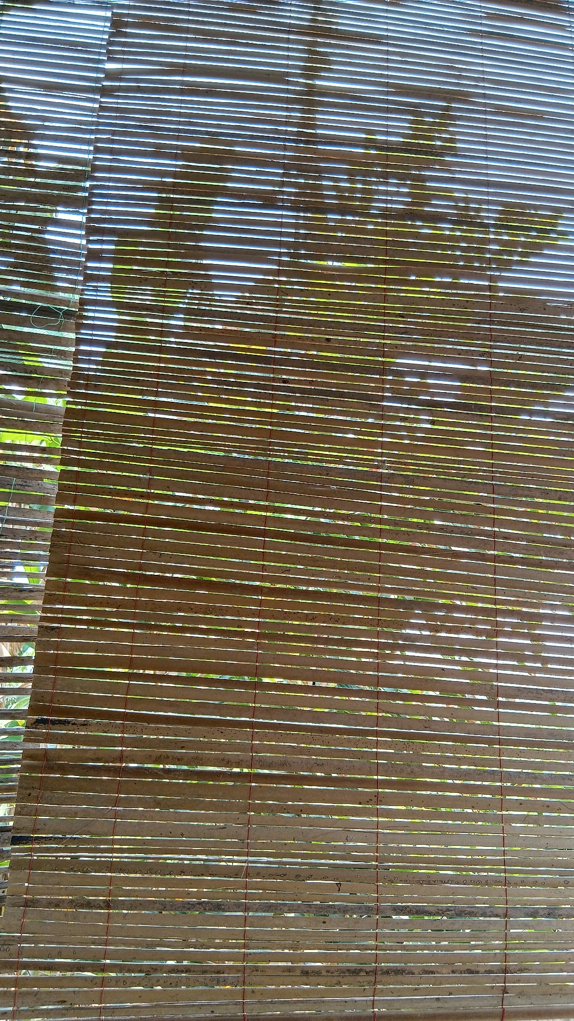 A close-up, full-frame shot of a woven bamboo blind. The blind is composed of numerous horizontal bamboo slats that are tightly strung together with thin red threads. The texture of the bamboo is visible, with variations in color and some slight imperfections. Through the gaps between the slats, blurry green foliage and shadows of leaves can be seen, suggesting the blind is situated outdoors or in front of a window with a view of vegetation. The lighting indicates it is daytime, with sunlight filtering through the blind. The image appears to be taken in Klorogan, Indonesia, as indicated by the prompt, likely on a porch or patio. There are no people or discernable objects other than the blind itself and the background elements visible through it.