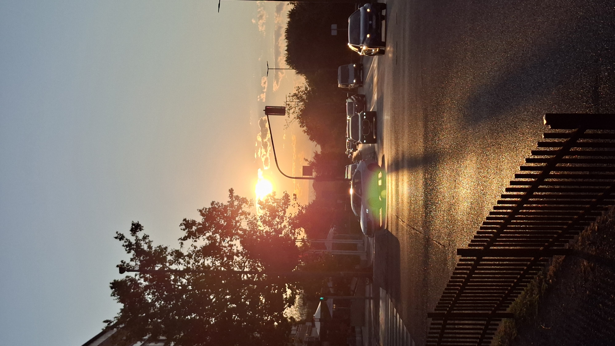 The image depicts a sunset over a street intersection in Podgorica, Montenegro. The sun, low on the horizon, casts a warm, golden light that reflects off the wet asphalt and the chrome of passing vehicles. Several cars are visible, including a silver sedan in the foreground, a black SUV, and other vehicles in the background. A traffic light is illuminated, indicating a red signal for the vehicles approaching from the viewer's perspective. A pedestrian crossing is marked on the road. A dark wooden fence runs along the left side of the image. Trees, silhouetted against the bright sky, line the street and frame the scene. The sky is a gradient of light blue and orange, with scattered clouds. The overall impression is one of a typical evening commute in an urban environment bathed in the dramatic light of sunset.