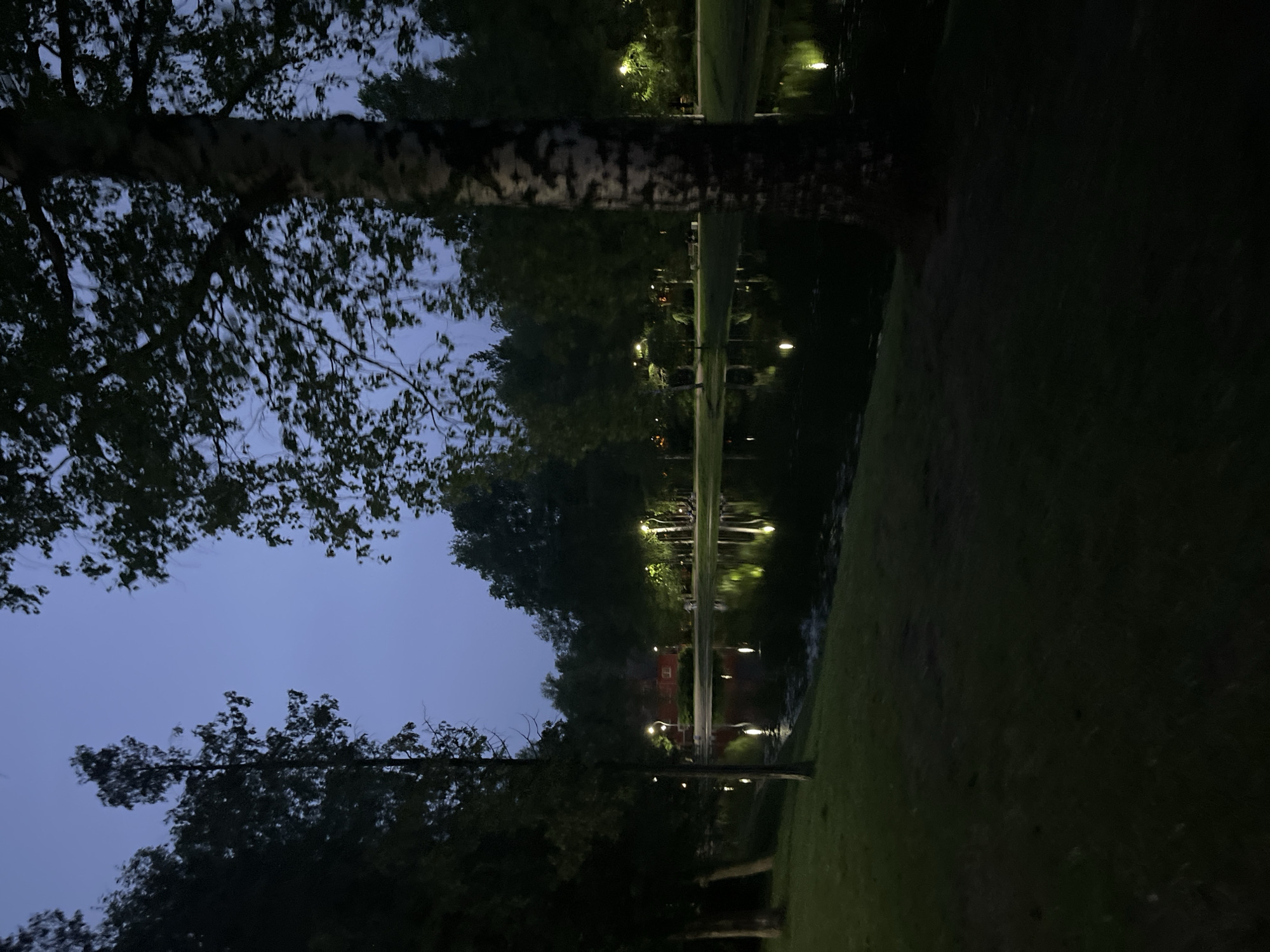 The image shows a nighttime scene in Saint Petersburg, Russia. The location appears to be a park or garden, with a body of water reflecting lights, possibly from street lamps. Trees are visible along the edges of the water. The sky is dark, with a hint of twilight. There are no people visible in the frame. The image is rotated 90 degrees counter-clockwise.