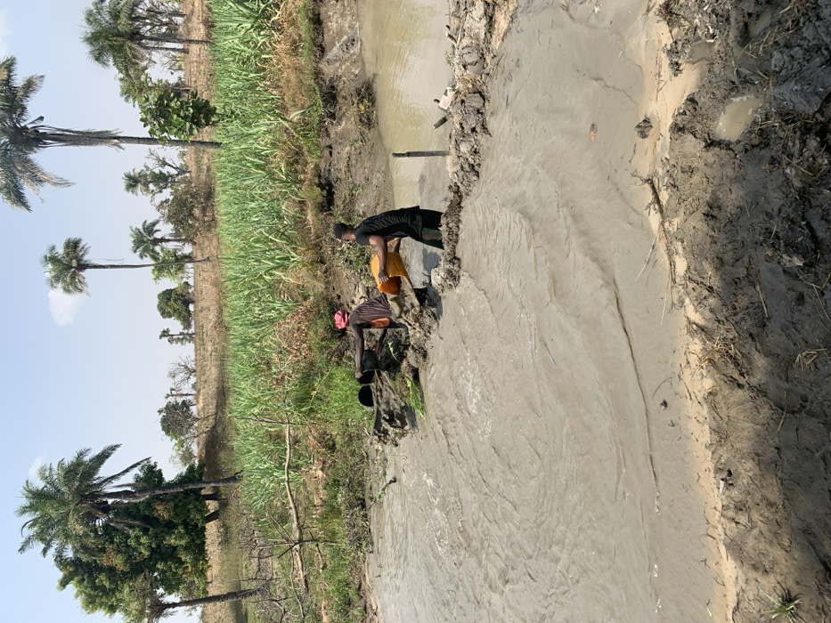 Two people are laboring near a muddy stream or canal, surrounded by vegetation. One person, wearing a yellow shirt, appears to be pouring something, while the other, in dark clothing, seems to be working with a bucket. The landscape is characterized by tall grasses and scattered trees, including palm trees, under a clear sky. The waterway is filled with murky water and lined with muddy banks.