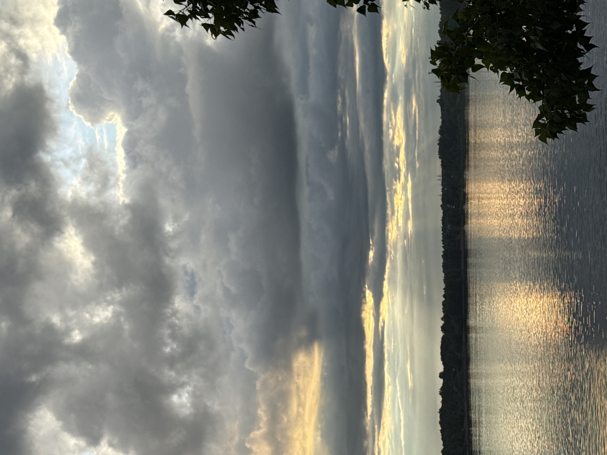 A picturesque landscape shot captures a vast body of water, likely a lake or wide river, under a dramatic, cloud-filled sky. The image is oriented vertically, but when viewed horizontally, the horizon line runs across the middle.
The sky dominates the upper two-thirds of the frame and is filled with heavy, dark grey clouds, particularly dense in the upper left and central portions. However, shafts of bright sunlight penetrate these clouds, creating luminous streaks of white and golden light. A small patch of lighter blue sky is visible amidst the clouds in the upper left. The interplay of dark clouds and bright light suggests a dynamic weather condition, possibly after a rain shower or during a spectacular late afternoon.
The lower third of the image is occupied by the water, which beautifully reflects the light from the sky. Shimmering streaks of golden and silver light dance on the rippled surface, contrasting with the deeper, darker tones of the water itself.
A dark, silhouetted treeline forms a narrow band along the distant shore, separating the water from the sky and hinting at a forested landscape beyond. In the upper right corner, dark green leaves of a tree or bush hang into the frame, providing a natural foreground element and adding depth.
The scene conveys a sense of grandeur and natural beauty, with the dramatic lighting suggesting either a sunrise or sunset. The overall mood is serene yet powerful, capturing a moment of intense atmospheric display over a large body of water. There is no visible text in the image. Given the context of Chaikovsky, Russia, this could be a view of the Votkinsk Reservoir on the Kama River.