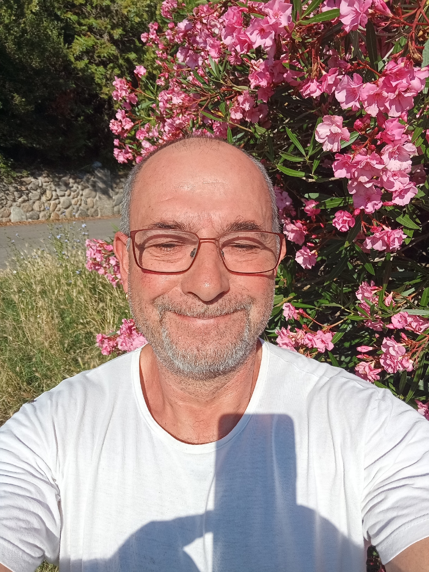 This is a frontal selfie of a middle-aged Caucasian male with a shaved head and a grey beard, wearing glasses with reddish-brown frames and a white t-shirt. He is smiling with his eyes closed. He is standing outdoors, with a bush of pink oleander flowers behind him. To the left of the flowers, there is dry grass and a stone wall. The background suggests a rural or semi-rural setting, possibly in or near the city of Brenna, Italy. Sunlight is casting a shadow on the man's chest.