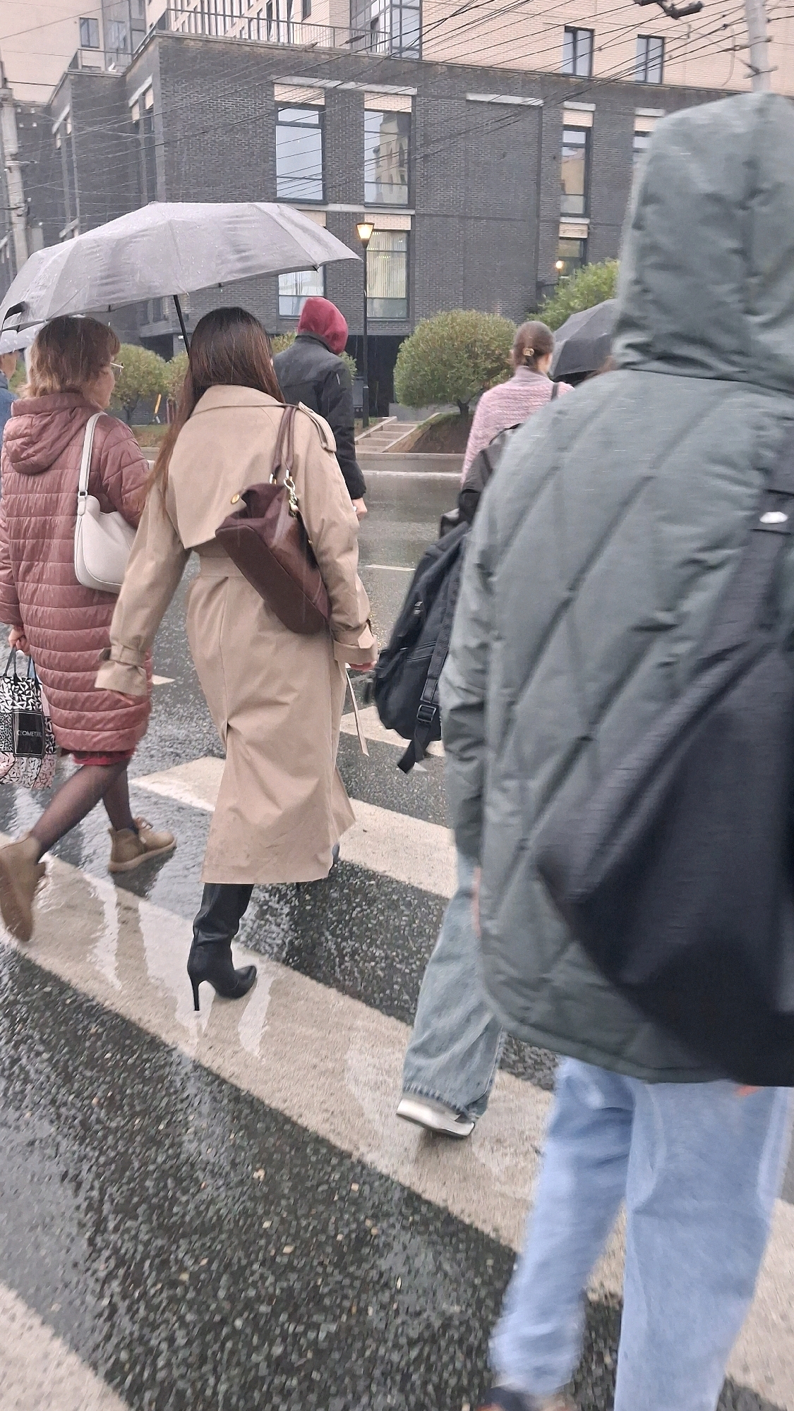 The image shows a group of people crossing a wet, striped pedestrian crossing on a city street. The environment appears to be an urban setting with modern, dark brick buildings in the background. The weather is overcast and rainy, as indicated by the wet ground and the umbrella being held by one of the individuals.
In the foreground, a person in a dark green puffer jacket with a hood is walking away from the camera, their legs clad in light blue jeans. To their left, a person in a tan trench coat with a dark brown shoulder bag is walking across the street. They are wearing black heeled boots. Further left, a person in a quilted reddish-brown coat with a white shoulder bag and a black and white patterned shopping bag is also crossing.
Behind these individuals, other people are partially visible, including one wearing a red hooded garment and another in a pink and white patterned top. The buildings in the background have multiple windows, some reflecting the sky. The overall impression is a mundane scene of people navigating an urban environment during rainy weather. The scene is consistent with a location in Novosibirsk, Russia, given the architectural style and climate.