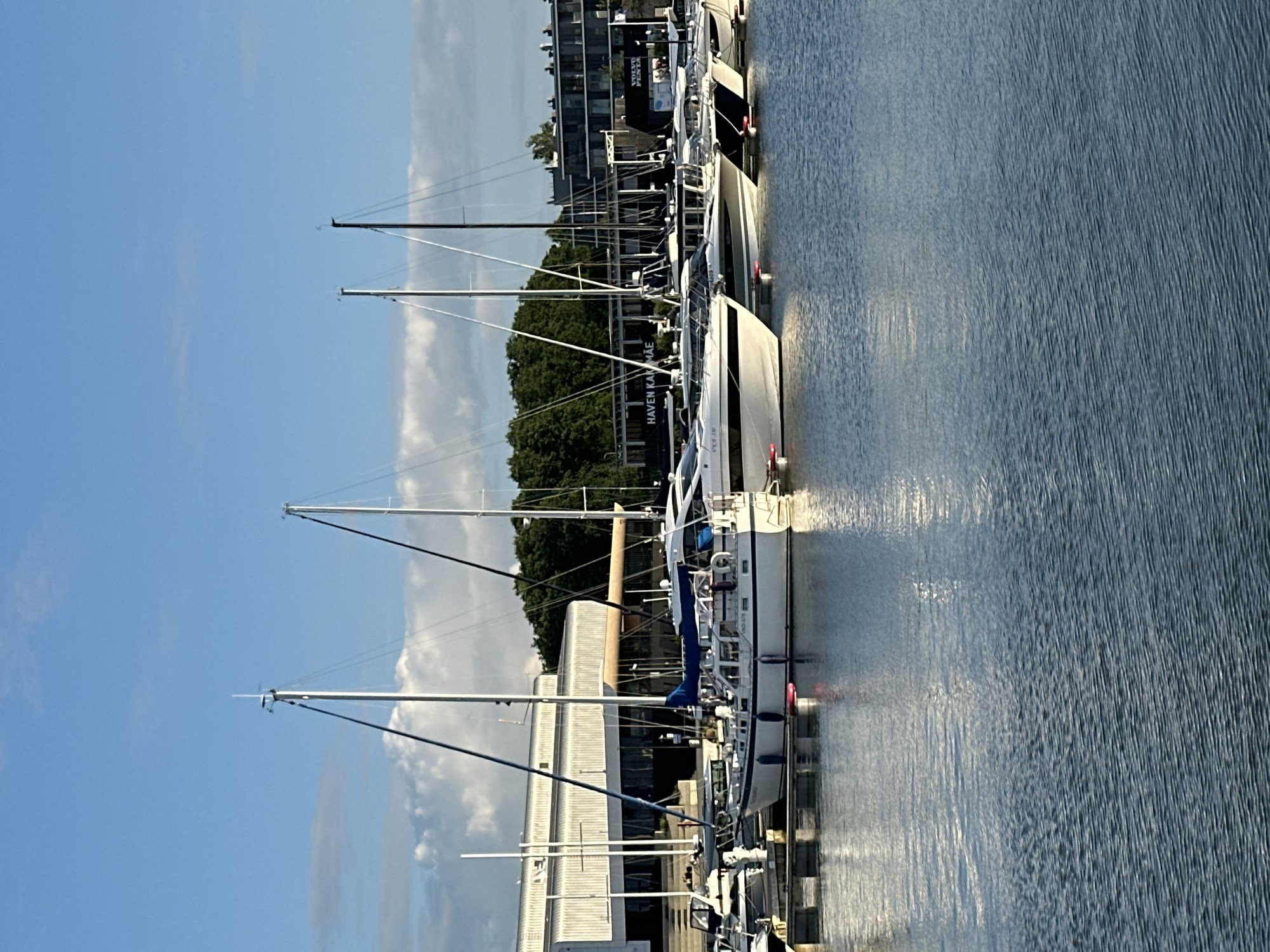 This image depicts a serene waterside scene in Tallinn, Estonia, likely in the late afternoon given the long shadows and warm light reflecting on the water. The primary subjects are several sailboats moored at a dock. Their tall masts, silhouetted against a bright blue sky dotted with fluffy white clouds, dominate the upper portion of the image. The sailboats are white and appear to be modern, with clean lines.
The setting is a marina, evidenced by the docked boats and the pier. Behind the boats, a line of lush green trees separates the water from a modern, multi-story building complex. The building has a dark facade and numerous windows, suggesting a commercial or residential development. The water itself is calm with gentle ripples, reflecting the sky and the boats.
The image is oriented vertically, so the scene appears rotated 90 degrees clockwise. No people are visible in the image, and the overall mood is one of quiet tranquility and stillness.
Visible text includes "HAVEN KAMA" and "VOLVO PENTA" on signs or boat hulls. The presence of these names could indicate the specific marina or the brands of the boats or their engines. The weather appears to be pleasant, with clear skies and good visibility. The time of day is suggested by the angle of the light, casting soft shadows.