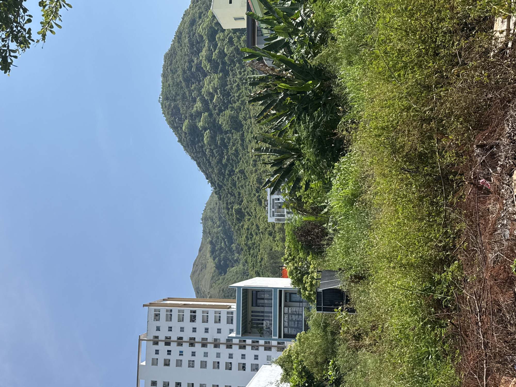 In the city of Nha Trang, Bac Trang Ward, a landscape unfolds featuring a blend of urban development and natural scenery. Dominating the left side of the frame is a tall, multi-story white building with numerous rectangular windows, indicating residential or commercial units. Adjacent to it, a smaller, more modern building features a light blue and white facade with balconies. In the mid-ground, lush green vegetation, including large-leafed plants resembling banana trees, thrives. Behind this, rolling hills covered in dense green foliage rise, showcasing the natural topography. The sky above is a clear, vibrant blue, suggesting a sunny day. The foreground is occupied by overgrown grass and fallen branches, indicating an undeveloped or untended area.