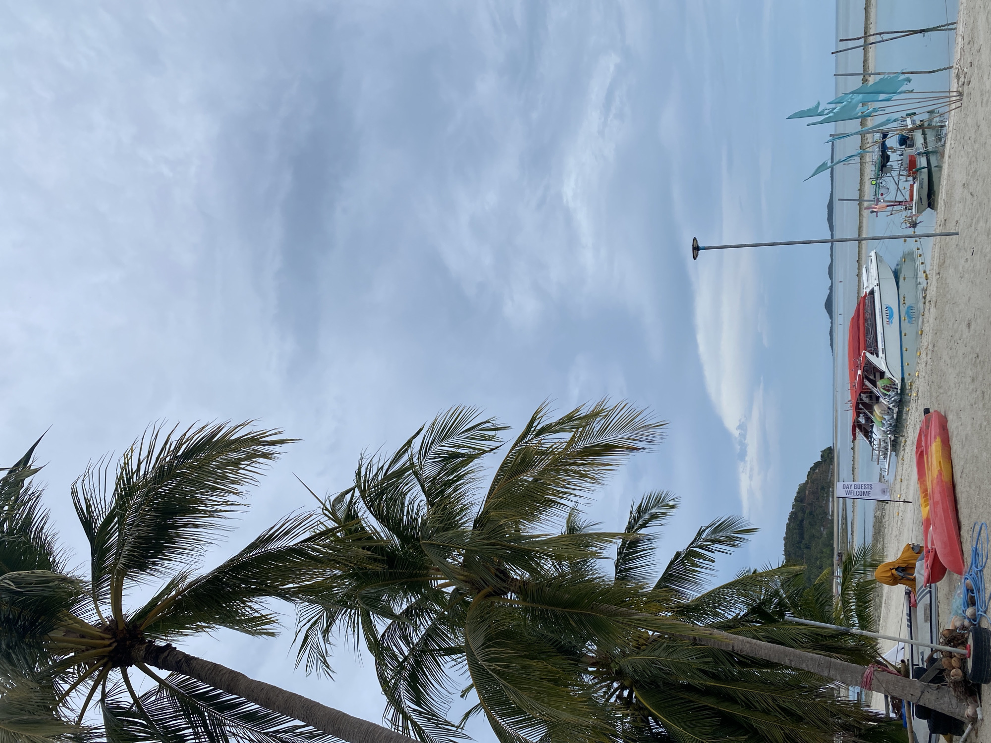 The image shows a beach scene in Baan Thong Krut, Thailand, with palm trees in the foreground, a cloudy sky overhead, and boats anchored offshore. The angle is from the ground, looking up at palm trees. To the right are boats, kayaks, flags, and a sign that says "Day Guests Welcome." The colors are predominantly green, blue, and sandy tan.
