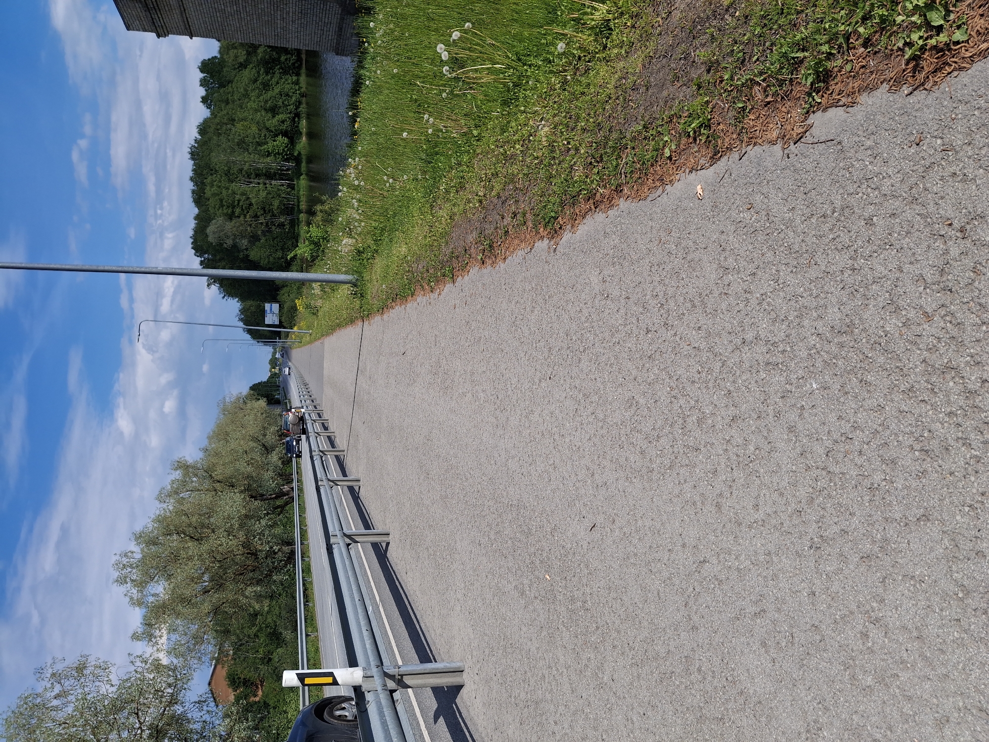 The image captures a sunny outdoor scene, looking along a wide asphalt path or road. The sky, filling the upper left portion, is bright blue with scattered white clouds, indicating clear daytime weather.
In the immediate foreground and extending down the right side, a textured gray asphalt surface dominates. Along its right edge, there's a distinct strip of dried, brown, curled plant matter, which transitions into vibrant green grass dotted with white dandelions. Further to the right, a calm body of water, likely a river or canal, reflects the light. Beyond the water, a dense line of dark green trees forms a natural barrier, with a partial view of a brick building peeking through the foliage on the distant bank.
To the left of the main asphalt path, a metal guardrail, composed of horizontal bars supported by vertical posts, extends into the distance. Beyond this barrier, another road is visible, featuring a series of streetlights receding into the horizon. A few cars are sparsely visible on this distant road. Large, leafy trees with lighter green foliage stand between the asphalt path and the road on the left, particularly in the mid-ground. No people are visible, and no specific activity is taking place. There is no discernible text within the image.