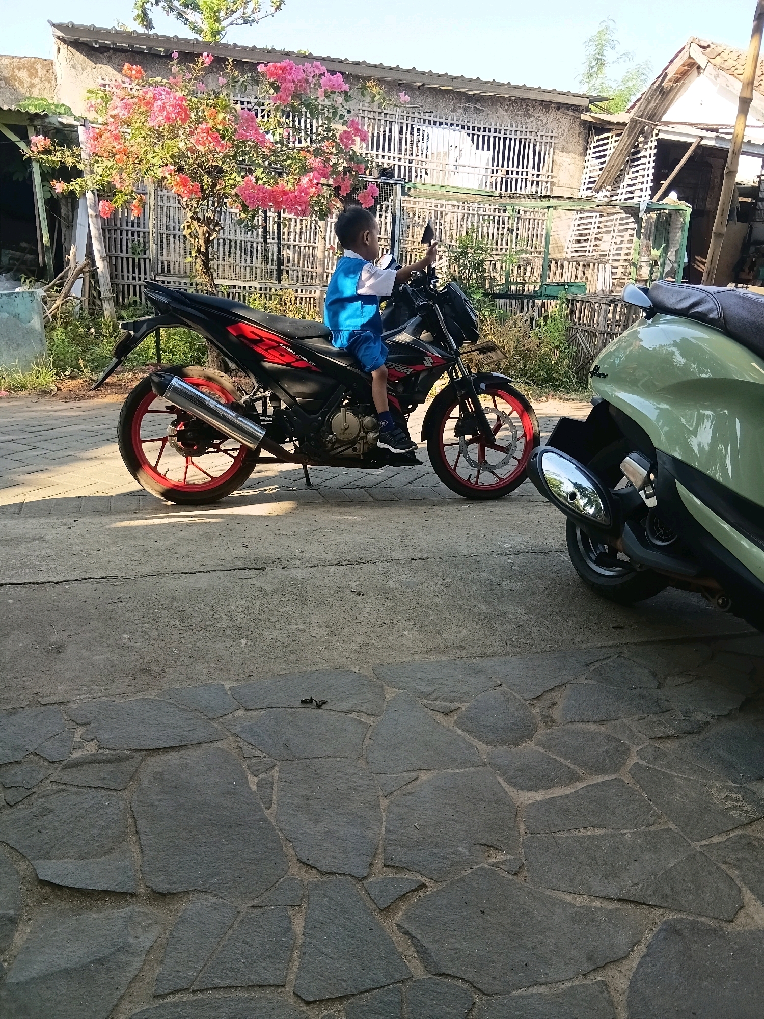 In Cikal, Indonesia, a young boy wearing a blue shirt and blue shorts sits on a black motorcycle with red rims. The motorcycle is parked on a paved surface, with a second, light green scooter parked to its right. In the background, a house with a tiled roof is visible, partially obscured by a bamboo fence and a tree with vibrant pink flowers. The scene appears to be in an outdoor residential area.