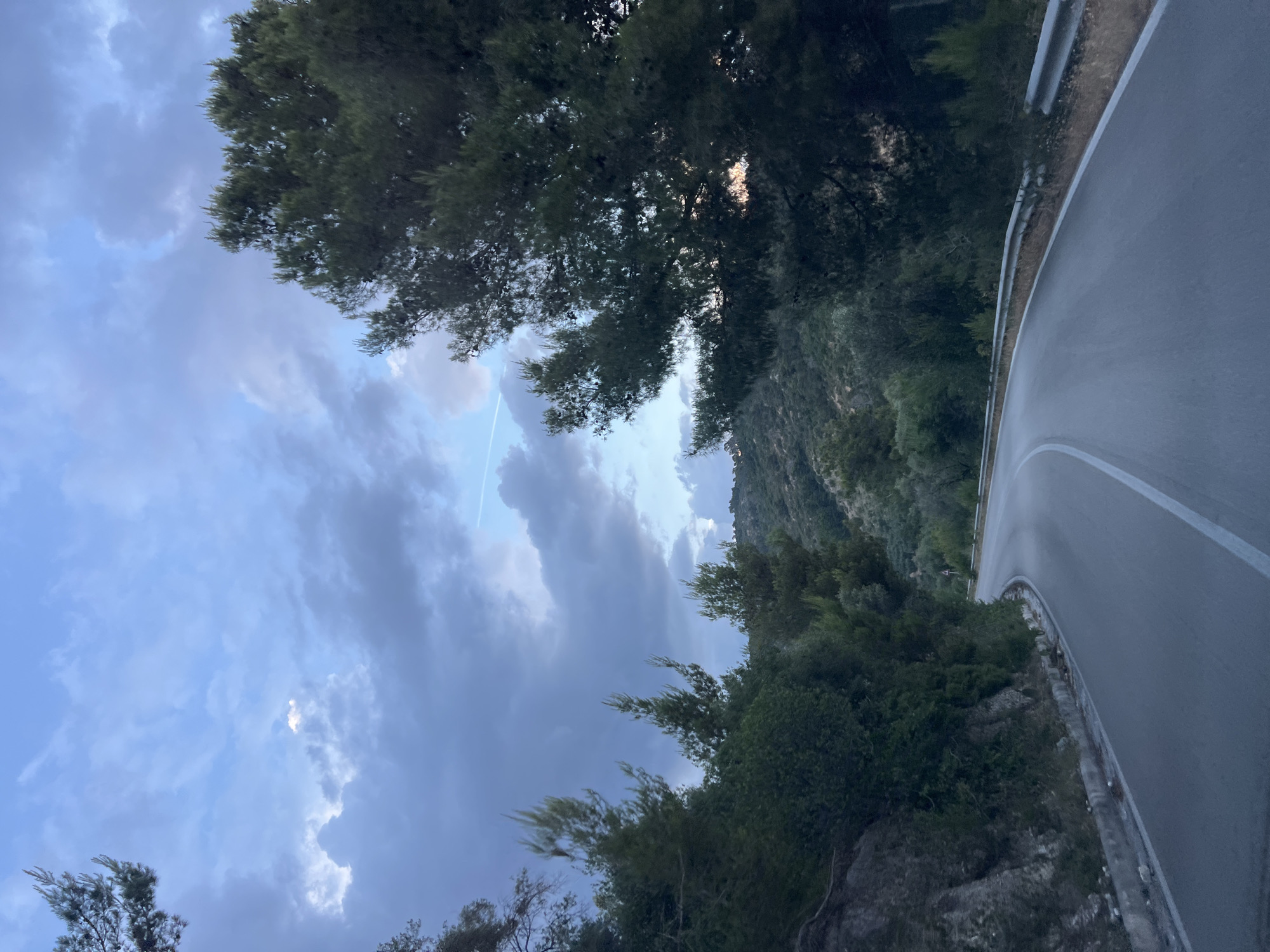 The image shows a winding paved road through a wooded, hilly area, likely in or around Mattinata, Italy, given the vegetation typical of the Gargano region. The road has white lane markings and a metal guardrail on the right side. Dense green foliage, including trees with pine-like needles and other bushy vegetation, lines the left side of the road and the hills in the background. The sky above is a mix of blue with scattered grey clouds, with a faint contrail visible. The lighting suggests it is either early morning or late evening. There are no people or vehicles visible in the scene.