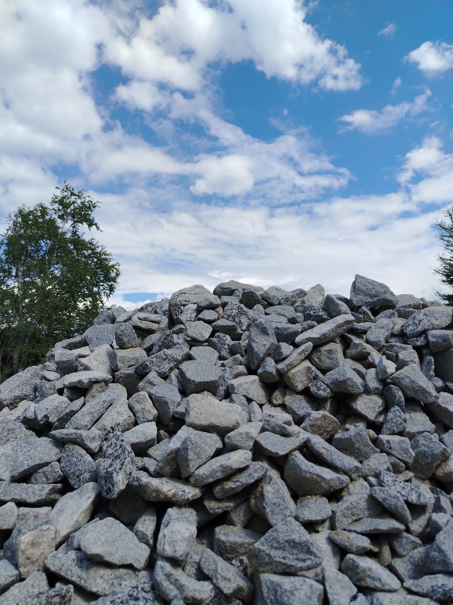 A low-angle shot captures a large pile of grey, rough-hewn rocks filling the foreground and midground of the image. The rocks are of varying sizes and shapes, with some appearing flat and others more jagged. In the background, a bright blue sky with scattered white clouds stretches across the upper portion of the frame. To the left, the upper branches of a tall, leafy green tree are visible, and to the far right, a hint of a dark green coniferous tree can be seen. The lighting suggests it is daytime, with sunlight illuminating the scene. There are no people or visible actions in the image.