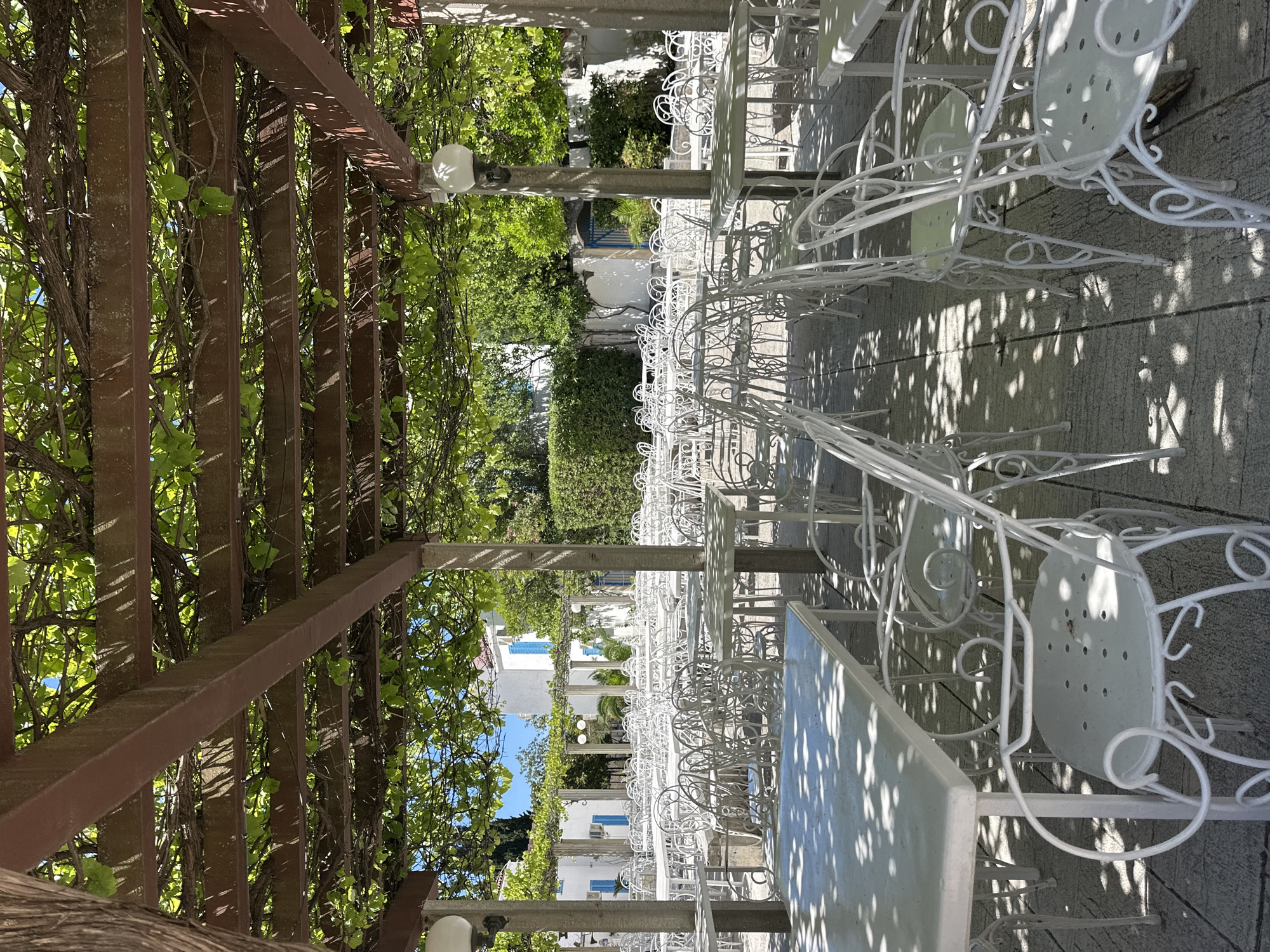 The image captures an outdoor cafe scene in Budva, Montenegro. A vine-covered pergola provides shade over rows of white metal tables and chairs. The tables are unoccupied. Beyond the cafe seating, a whitewashed building with blue shutters is visible, partially obscured by greenery. The scene is bathed in sunlight, casting shadows on the ground. The image is taken from under the pergola, looking toward the building in the background.