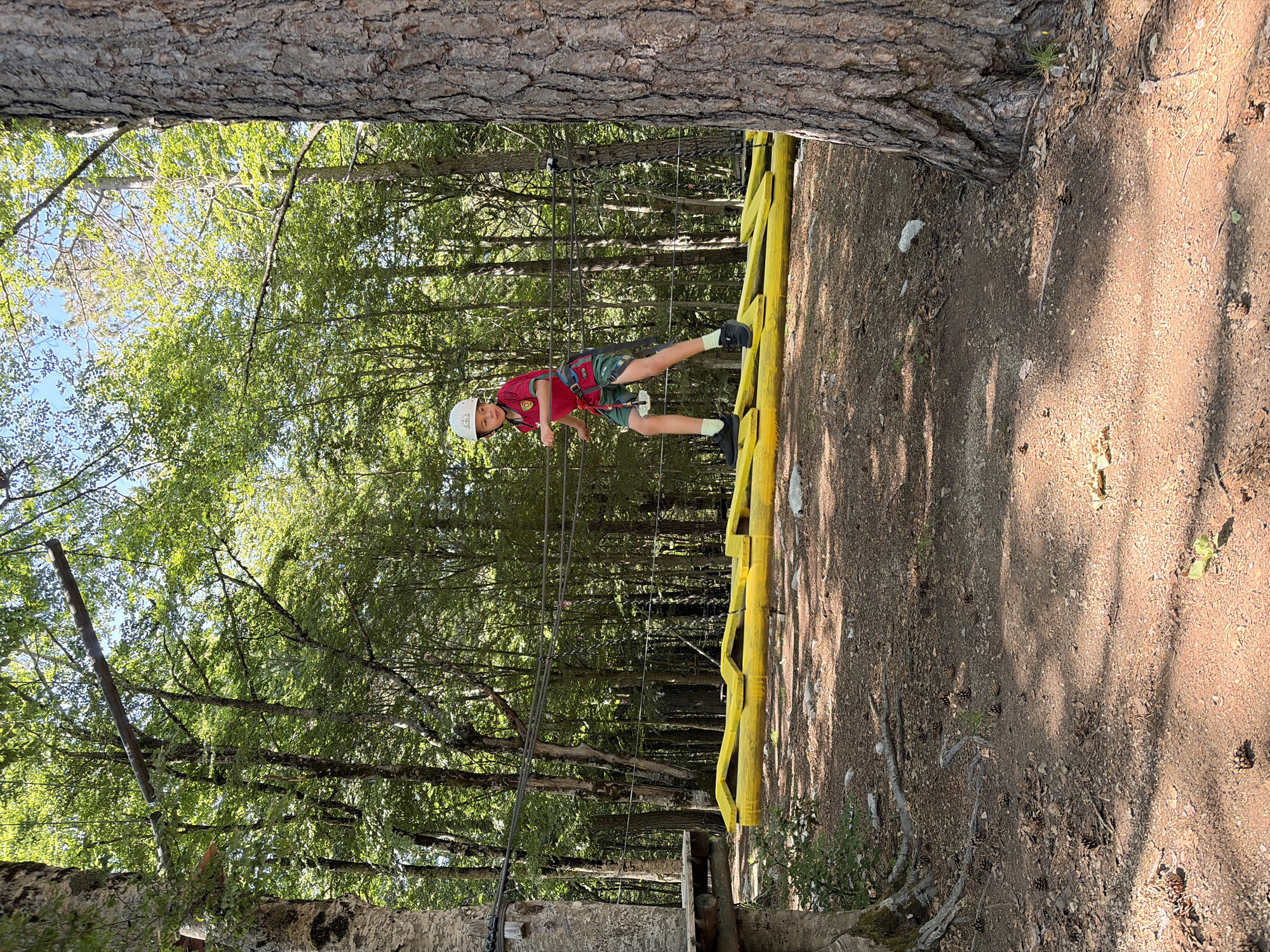 The image depicts an outdoor adventure park scene in a forest environment in Dolovi, Montenegro. A young male individual, appearing to be a child between 8 and 12 years old, is navigating a low-level ropes course element. He wears a white helmet, a red short-sleeved t-shirt with a crest on the left chest, green shorts, light green socks, and black athletic shoes. A safety harness is visible around his waist and thighs, from which safety lines ascend towards an overhead cable system that stretches horizontally between trees. The child is actively walking across a bridge segment composed of a series of approximately six to seven bright yellow, faceted wooden logs, laid horizontally on the ground. His left foot is positioned on one log, while his right foot is poised to step onto the next, indicating motion.
The setting is a dense forest, with numerous green-leaved trees populating the background. In the foreground, a large, light-barked tree on the left features a wooden platform affixed to its trunk, serving as part of the course. On the right, a thick tree with dark, deeply furrowed bark stands prominently, partially framing the scene. The ground is composed of reddish-brown soil and dirt, interspersed with fallen leaves, roots, small rocks, and numerous pinecones. The area is illuminated by natural sunlight, casting dappled shadows on the forest floor.
