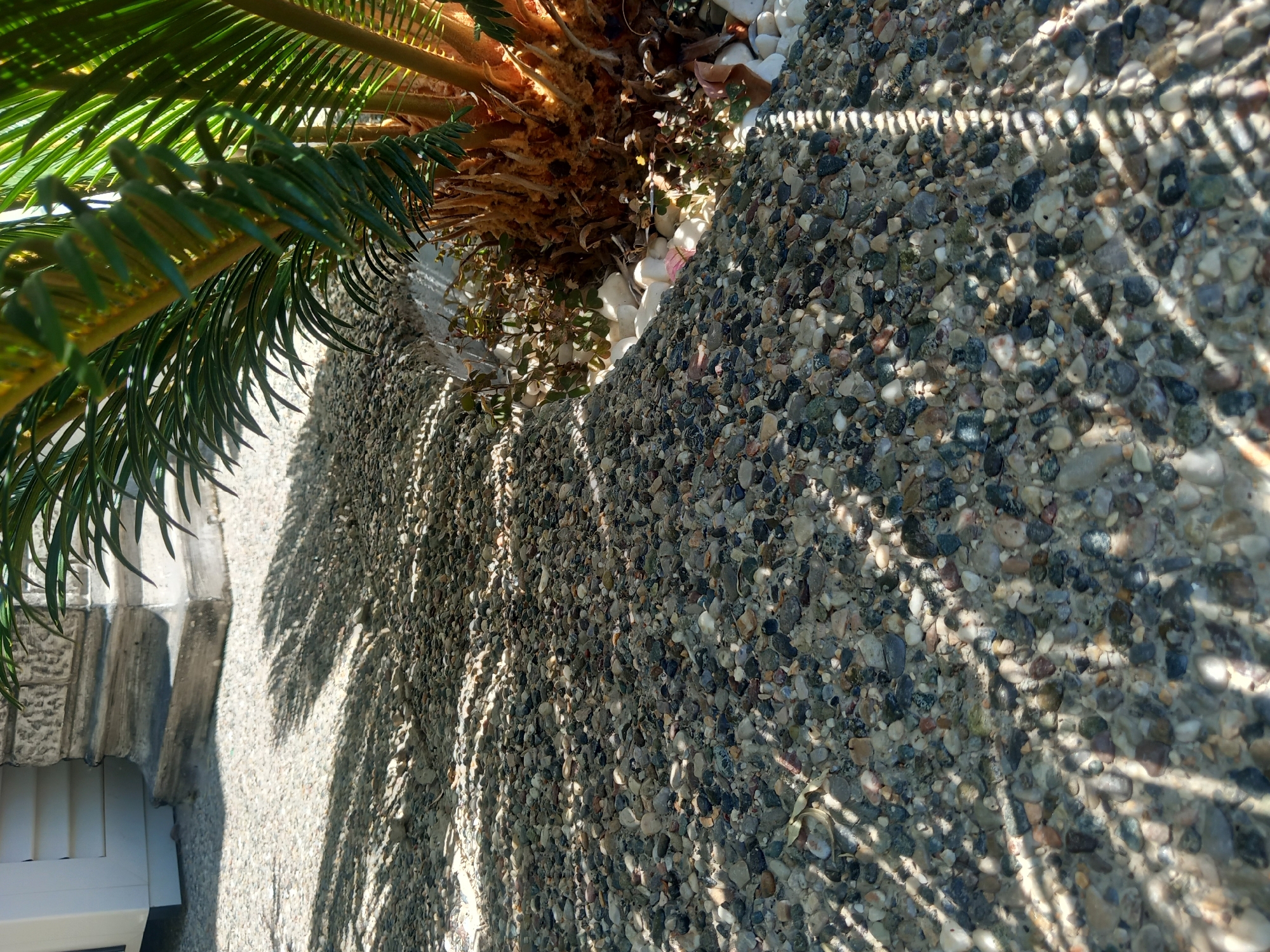 The image shows a sun-dappled pebble ground next to a building foundation and a sago palm tree. The pebbles are of various sizes and colors, including grey, brown, white, and black. The ground is textured and uneven. The building foundation appears to be made of concrete or stone and has a weathered look. The sago palm tree has lush green fronds and a rough, fibrous trunk. Sunlight filters through the palm fronds, casting distinct shadows on the pebble ground. The overall scene suggests an outdoor setting, possibly a garden or courtyard, in a location that experiences sunny weather. The specific location in Άγιος Νεκτάριος, Greece, is not visually identifiable from the image alone.