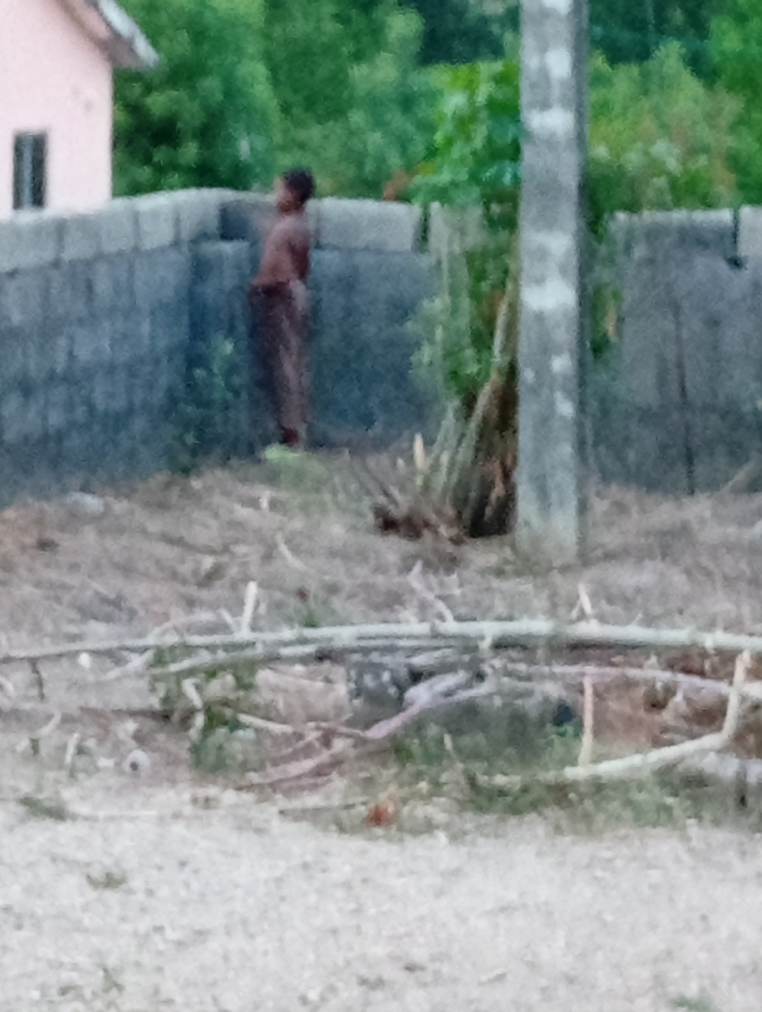 The image depicts an outdoor scene in Adankolo, Nigeria. In the mid-ground, a dark-skinned individual, appearing to be an adult or older youth, stands partially obscured behind a gray concrete block wall. The individual's upper torso is bare, while the lower body is covered in dark-colored attire; they are oriented slightly away from the viewer, looking towards the right side of the frame. Behind the wall and to the upper left, a light pink building with a single dark rectangular window is visible, featuring a light-colored roofline. Dense green foliage and trees comprise the background, extending across the upper portion of the frame. A prominent, light gray vertical pole, possibly concrete or wood, stands in the mid-right, partially obscuring some background elements. The foreground consists of dry, light-colored earth or gravel, sparsely covered with small patches of green vegetation and scattered dry twigs or debris. There are no discernible interactions between individuals or specific actions beyond the person standing.