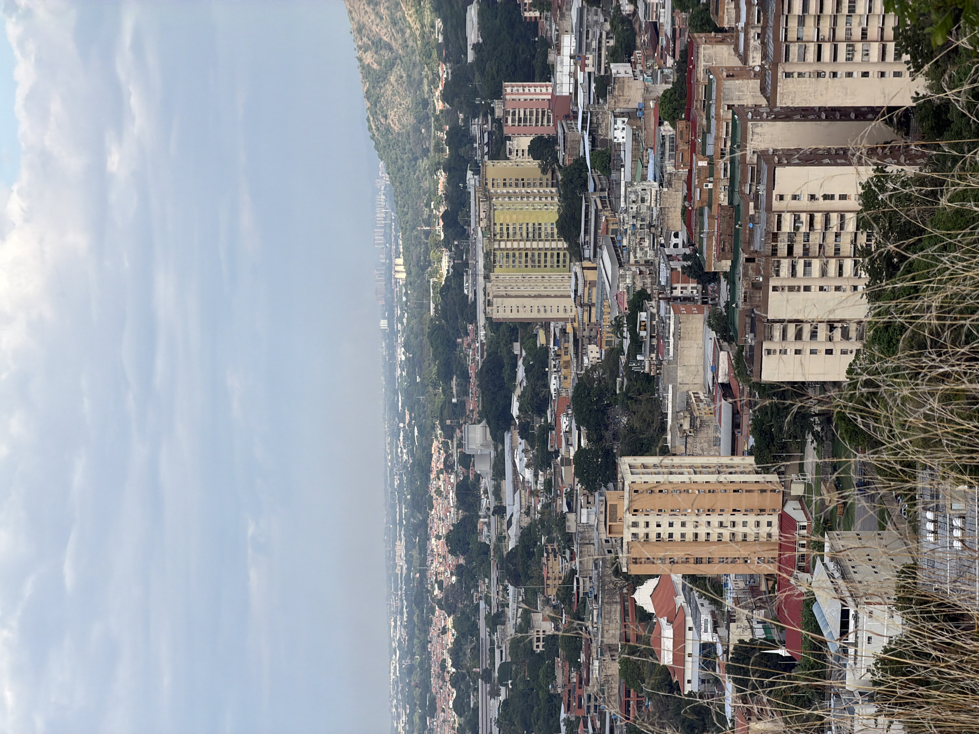 This is a high-angle, full-shot, vertical photograph of a dense urban landscape, likely taken from a hillside overlooking the city of Turmero, Venezuela. The foreground is dominated by dried, tall grass, which partially obscures the view of the city below.
The cityscape itself is a sprawling mix of residential and commercial buildings, characterized by a variety of architectural styles and heights. Numerous multi-story apartment buildings, some appearing to be quite tall and slender, are prominent. Many of these buildings have balconies or awnings, suggesting a warm climate. Lower-rise buildings, some with red-tiled roofs, are interspersed throughout the urban fabric.
Green trees are visible throughout the city, indicating areas of vegetation within the urban environment. In the distance, a hazy, mountainous terrain forms the backdrop, with more distant buildings visible on its slopes and at its base. The sky is overcast with soft, layered clouds, giving the scene a muted and somewhat diffused light. There are no visible people or vehicles in the image. The overall impression is one of a densely populated urban area nestled against a natural landscape.