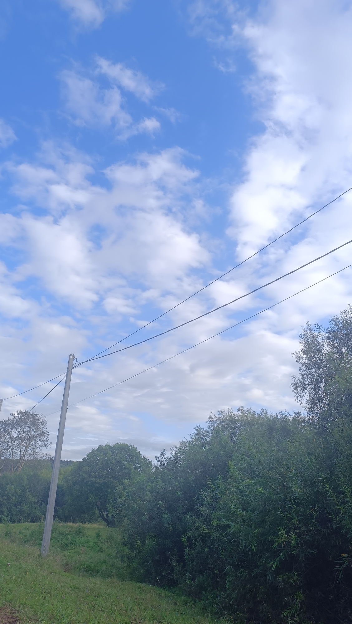 The image depicts a natural outdoor scene with a clear blue sky dotted with white clouds. In the foreground, there is a grassy area with a utility pole and two overhead wires. The background is filled with dense green trees and foliage, with some lighter trees and rolling hills visible in the distance. There are no people or animals visible in the image. The scene appears to be a rural or semi-rural setting, possibly a park or a roadside area. The image does not provide any specific geographical markers or information that would place it in the city of Karsha, Russia.