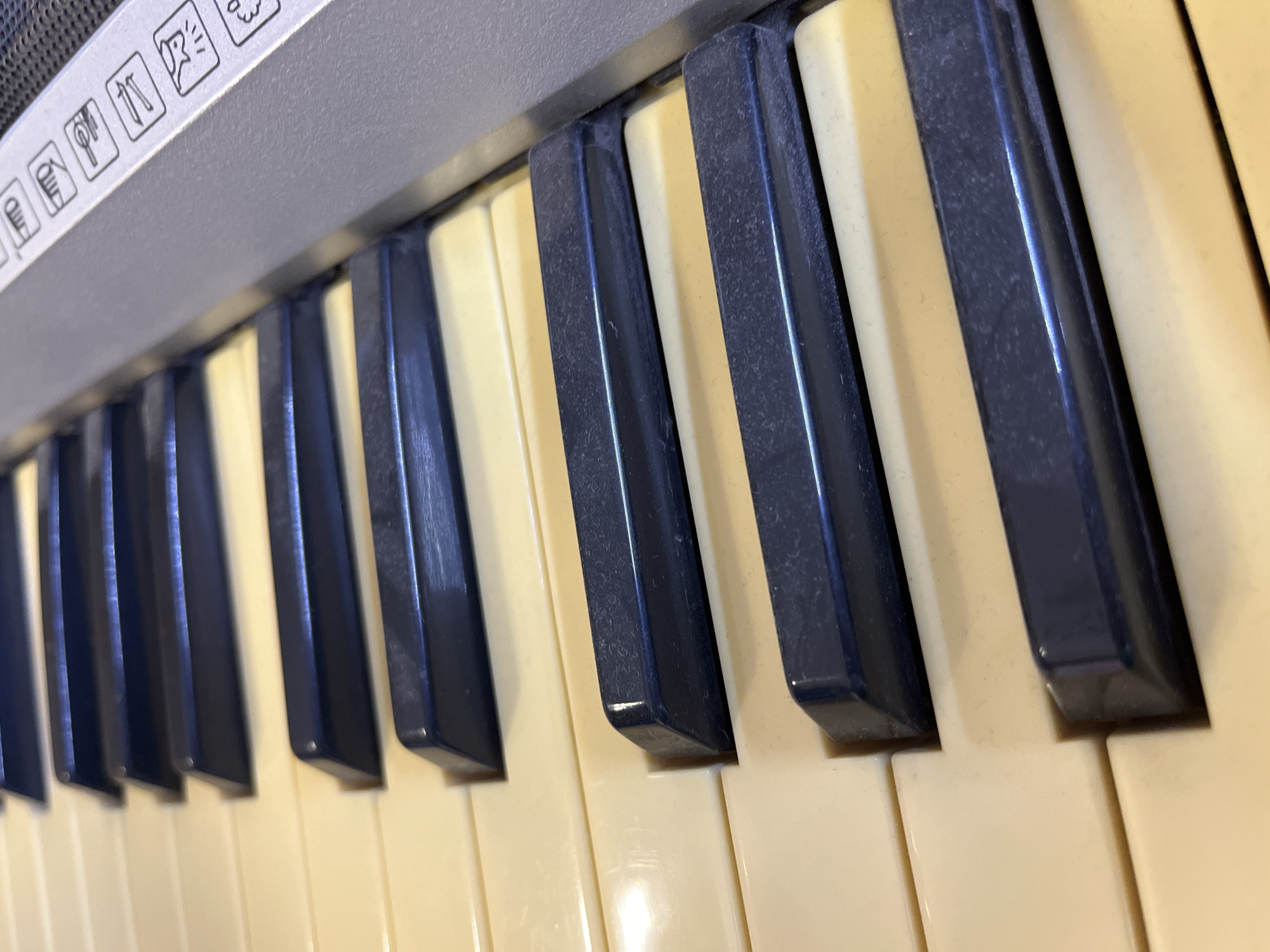 This is a close-up, high-angle shot of a keyboard, likely a digital piano or synthesizer, showing several ivory-colored keys and dark-colored keys. The keys are arranged in the standard musical scale pattern. The surface of the keys appears slightly dusty. To the right of the keys, a portion of the keyboard's control panel is visible, featuring several small, monochrome icons, each enclosed in a square. These icons depict various musical symbols and functions, such as a metronome, a musical note, and a stringed instrument. The background is blurred, but hints of a darker, possibly textured surface can be seen. The image is taken in natural light, casting subtle shadows on the keys. There is no indication of the city of Krasnyye Barrikady, Russia in the image itself.