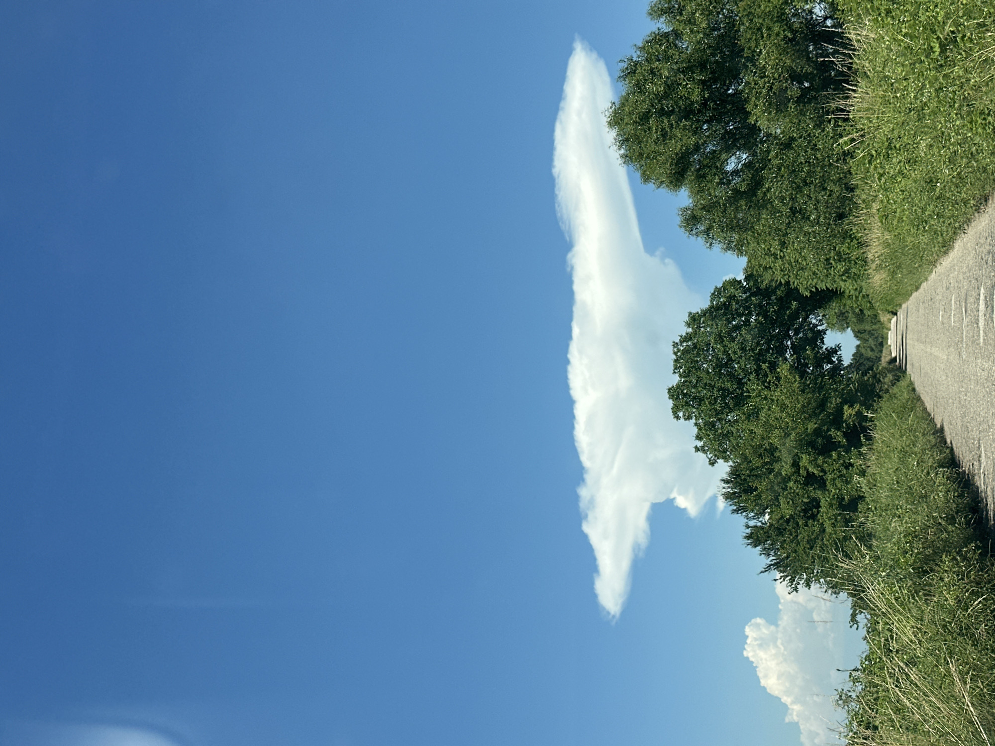 This image depicts a rural road flanked by lush green vegetation and trees under a clear blue sky. A prominent, anvil-shaped cloud formation is visible in the upper portion of the sky, characteristic of a cumulonimbus cloud. The road appears to be paved with asphalt and shows signs of wear, with faint markings on its surface. The surrounding environment is dominated by dense foliage, including tall grasses and mature trees, suggesting a natural or agricultural setting. The perspective is from a low angle, looking down the road into the distance. The image is devoid of any human presence or man-made structures besides the road itself. The scene is peaceful and evokes a sense of open space and natural beauty. The location is identified as Muldava, Bulgaria.