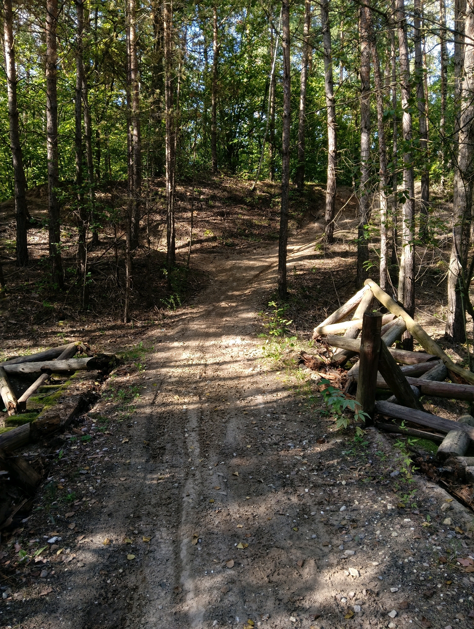 The image shows a dirt path winding through a dense forest. The path is narrow and appears to be uneven, with loose gravel and scattered leaves. Sunlight filters through the canopy of tall trees, creating dappled shadows on the ground. On the left side of the path, there is a crude wooden structure made of logs, possibly a makeshift bridge or barrier. On the right side, a similar wooden structure is visible, also made of logs. The environment is natural and appears to be relatively undeveloped. No people or animals are visible in the image. The scene suggests a secluded area within a wooded natural park or reserve. Given the location of Hrodna, Belarus, this scene could be located in one of the city's numerous green spaces or parks, such as Grodno Forest Park or the areas along the Neman River.
