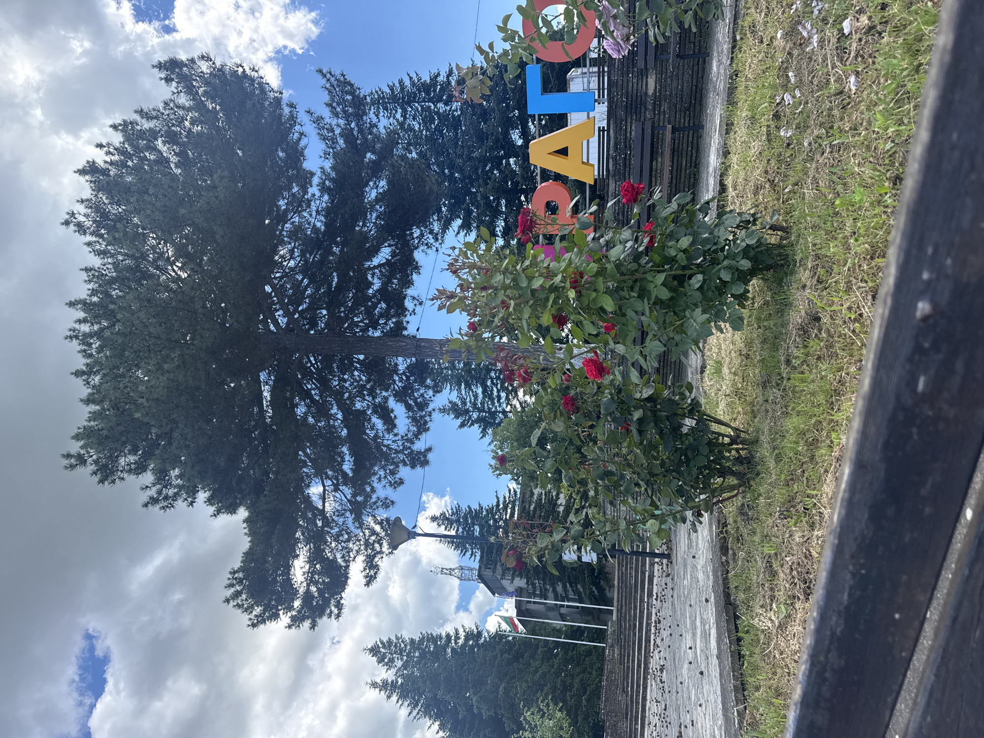 The image shows a bright, sunny day with scattered clouds. In the foreground, a dark wooden bench is visible. Behind the bench, there are two rose bushes with red roses. In the background, large, colorful letters spell out "ДРАГОЕВО". These letters are yellow, orange, blue, and pink. Behind the letters, a building with flags in front of it is visible, along with a tall communication tower. Several evergreen trees are present, along with a large pine tree in the center of the frame. The ground is covered with patches of grass and dry earth.