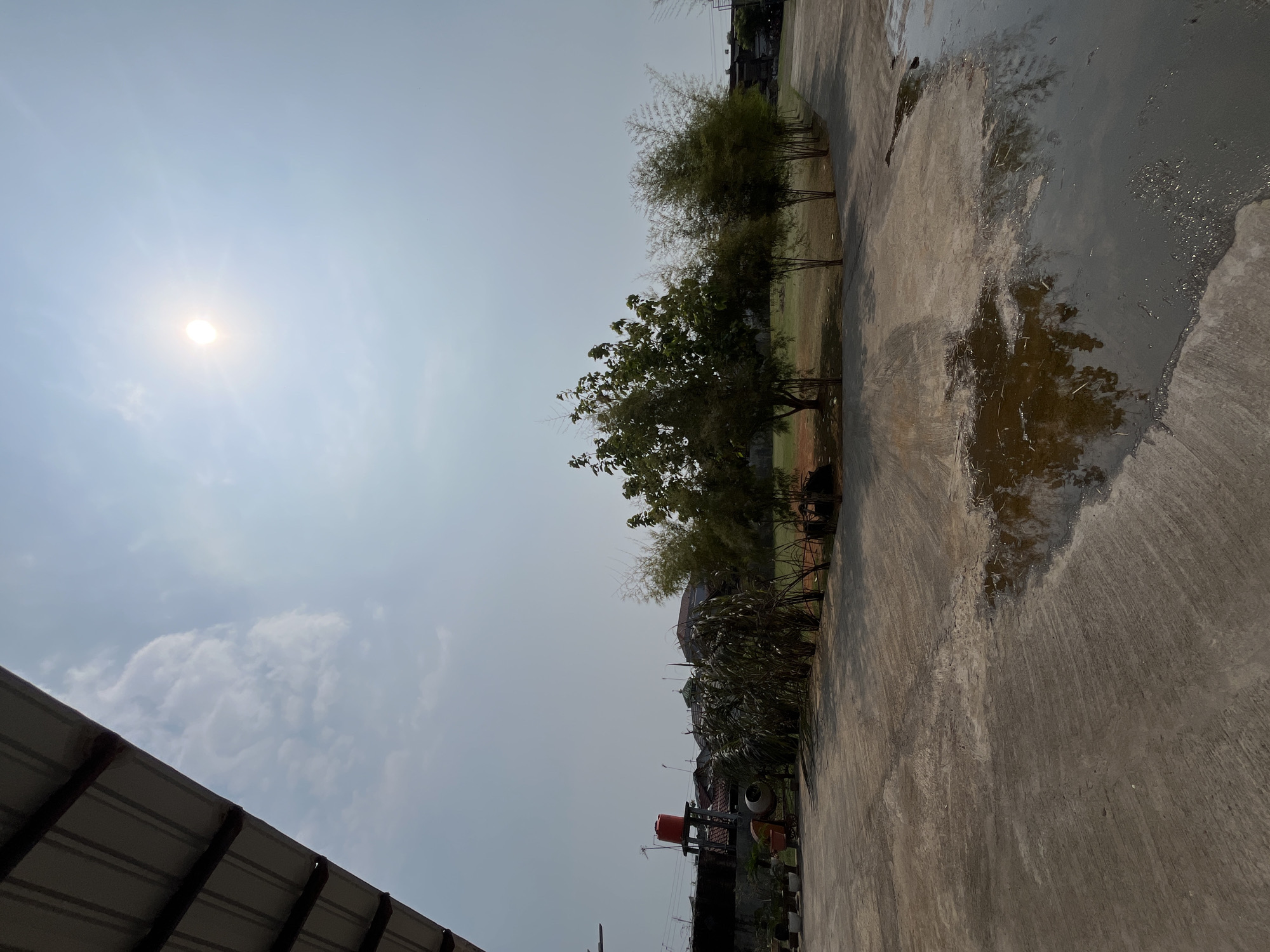 The image depicts an outdoor scene, likely a communal area or parking lot, under a bright, sunny sky. The sun is high and casts a strong glare, indicating midday. A large puddle of water reflects the trees and sky on the concrete ground in the foreground. To the left, a section of a metal roof structure is visible. Beyond the paved area, a row of trees and bamboo plants line a grassy field. In the background, residential buildings and a red water tank on a stand are present. The overall impression is of a residential area in a warm, possibly tropical climate, given the vegetation and clear sky. The location is identified as the city of Pekalongan, Indonesia, suggesting an urban or semi-urban environment. There are no people or animals visible in the image.