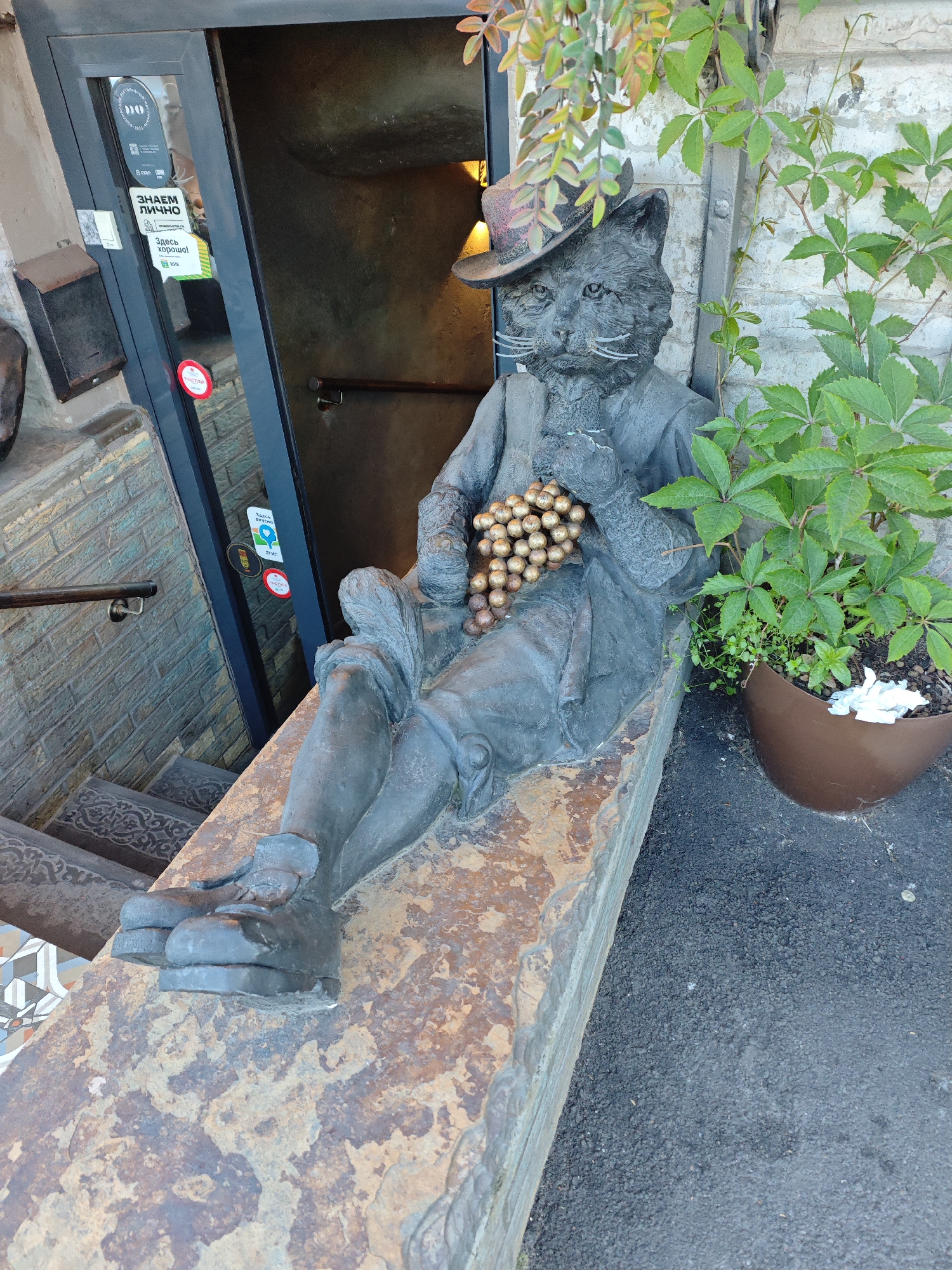 This image captures a dark-colored metal statue of an anthropomorphic cat seated on a weathered stone ledge outside a building in Saint Petersburg, Russia.
The statue depicts a bipedal cat figure with detailed fur texture, wearing a fedora-style hat, a coat, and trousers. The cat has prominent white whiskers and holds a cluster of metallic golden-bronze spherical objects resembling grapes in its lap. The statue's legs extend forward over the ledge, and its feet are visible, wearing human-like shoes. The stone ledge itself exhibits a rough, mottled texture with varying shades of rust, brown, and gray.
To the immediate left of the statue is a dark-framed glass door, partially recessed, leading into a dimly lit interior. Several stickers are affixed to the glass door: a circular sticker (possibly a rating, with "ресторанный рейтинг 2023" visible), a rectangular sticker with the Cyrillic text "ЗНАЕМ ЛИЧНО" (Know Personally) and "tverdaya.ru", below which another label reads "Здесь хорошо!" (It's good here!) and "2ГИС" (a Russian mapping service). A red circular sticker, possibly a review platform logo, is at the bottom of the door. A dark, weathered metal mailbox is mounted on the stone wall to the left of the door. This wall is constructed from rough-hewn, stacked stones in shades of blue, gray, and brown. A wooden handrail with metal brackets descends alongside a set of steps to the left, which are adorned with patterned dark tiles featuring intricate floral or geometric designs. At the bottom-left corner, a small section of multi-colored patterned tiles is visible.
To the right of the statue, a lighter-colored, rough textured wall, possibly painted brick or stucco, serves as the background. A climbing vine with five-lobed green leaves (likely Virginia Creeper) grows against this wall. From above, additional green and reddish-brown foliage hangs down, partially obscuring the top right portion of the statue. A brown, boat-shaped planter sits on the asphalt ground next to the ledge, containing green plants and some crumpled white material (possibly paper or plastic) on the soil surface. The ground adjacent to the ledge and planter is dark, coarse asphalt with small pebbles.