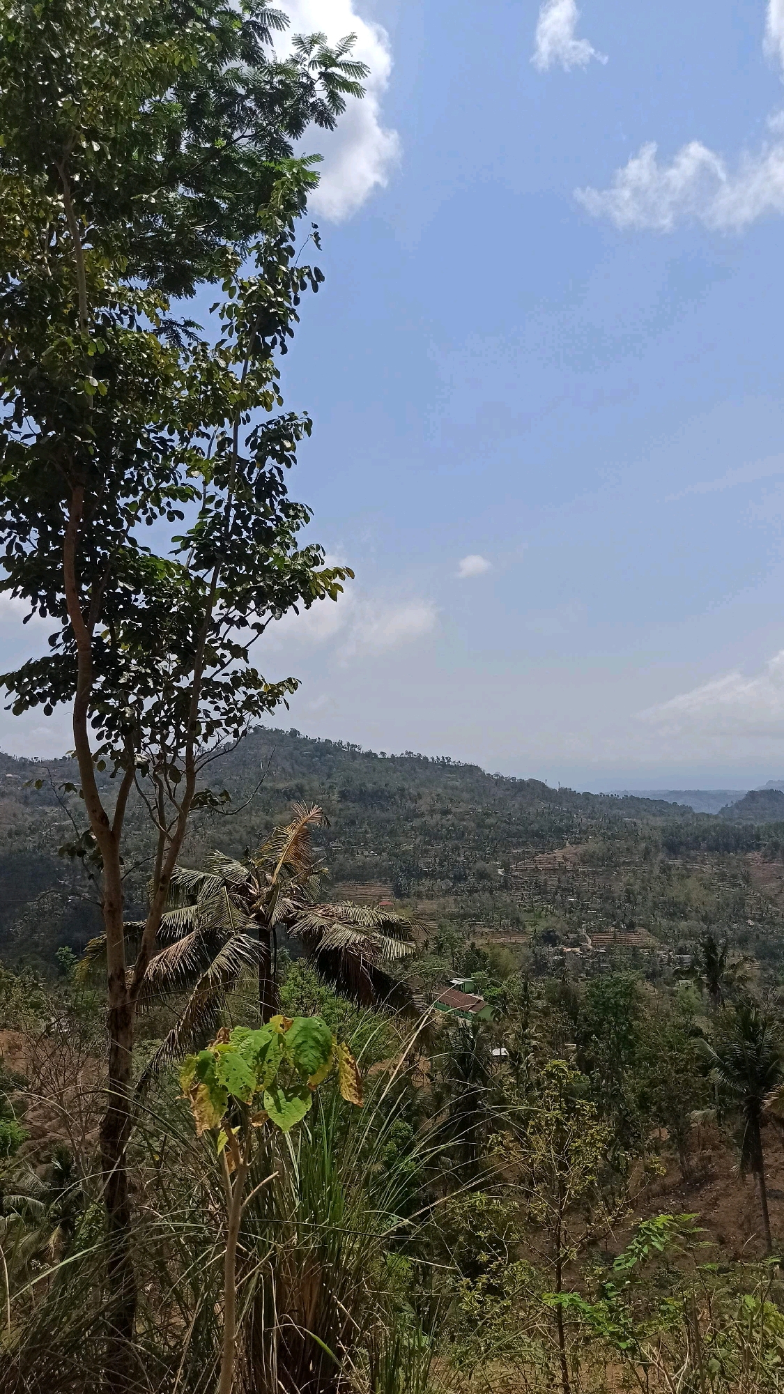 This is a photograph of a landscape in Tumpuk, Indonesia, featuring a lush green tree in the foreground on the left, its branches extending upwards and to the right. Behind the tree, a valley unfolds, revealing rolling hills covered in dense vegetation and dotted with scattered houses. The sky above is a clear blue, with a few white clouds scattered across it. The scene suggests a rural or semi-rural environment, likely a hillside overlooking a populated area. The lighting indicates it is daytime, with the sun casting shadows.