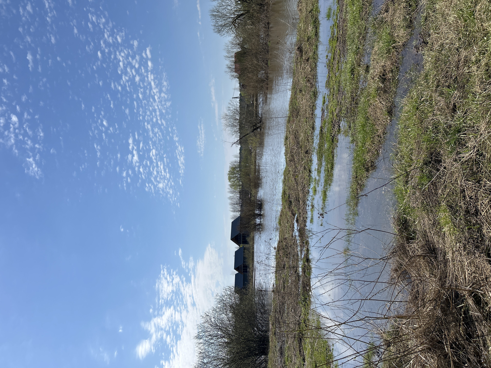 The image depicts a landscape under a blue sky dotted with altocumulus clouds. The ground is partially flooded, with water covering stretches of grassy terrain. Three dark-colored structures, possibly small buildings or huts, are visible in the mid-ground, partially obscured by trees. The vegetation consists of a mix of green grass and brown, dried plants. The scene is suggestive of a wetland or marshy area, possibly after a period of heavy rain. The location is unknown.