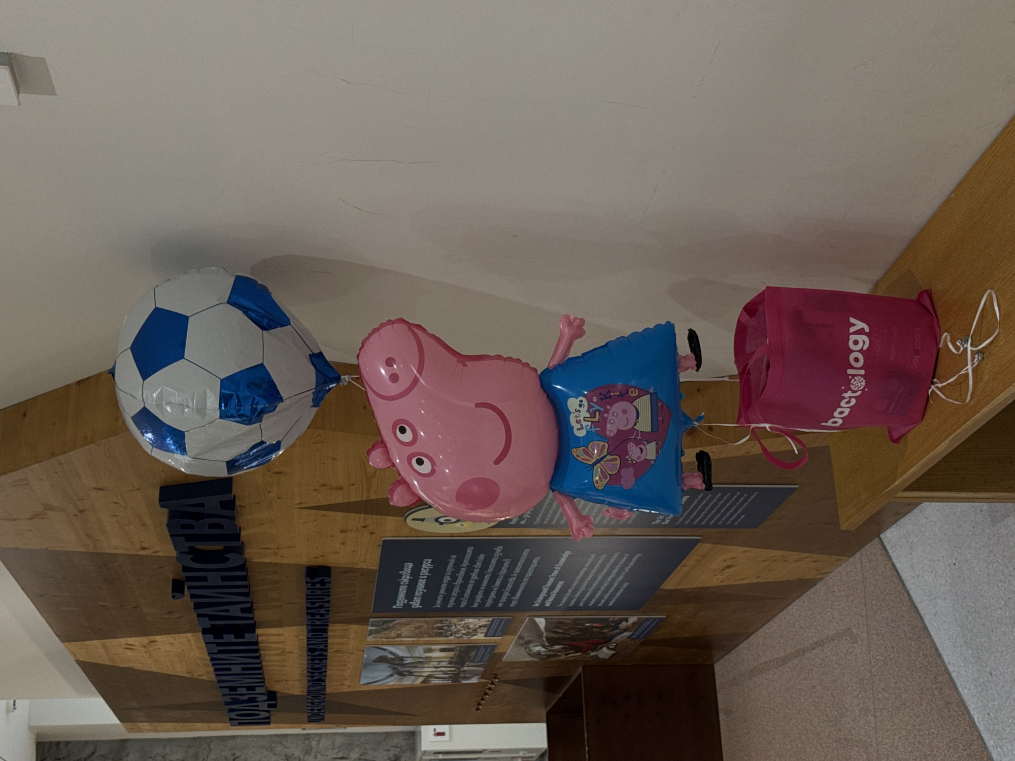 The image shows a scene inside a building, possibly a museum or exhibition space, in Sofia, Bulgaria. The interior has wooden paneling on the walls and floor. There are exhibits with written texts, possibly describing "Underground Secrets and Treasures", which appear to be in Bulgarian. Three balloons tied together are present. The first one is a soccer ball, the second one is Peppa Pig character, and the third is a pink bag with a "bactlogy" text on it.