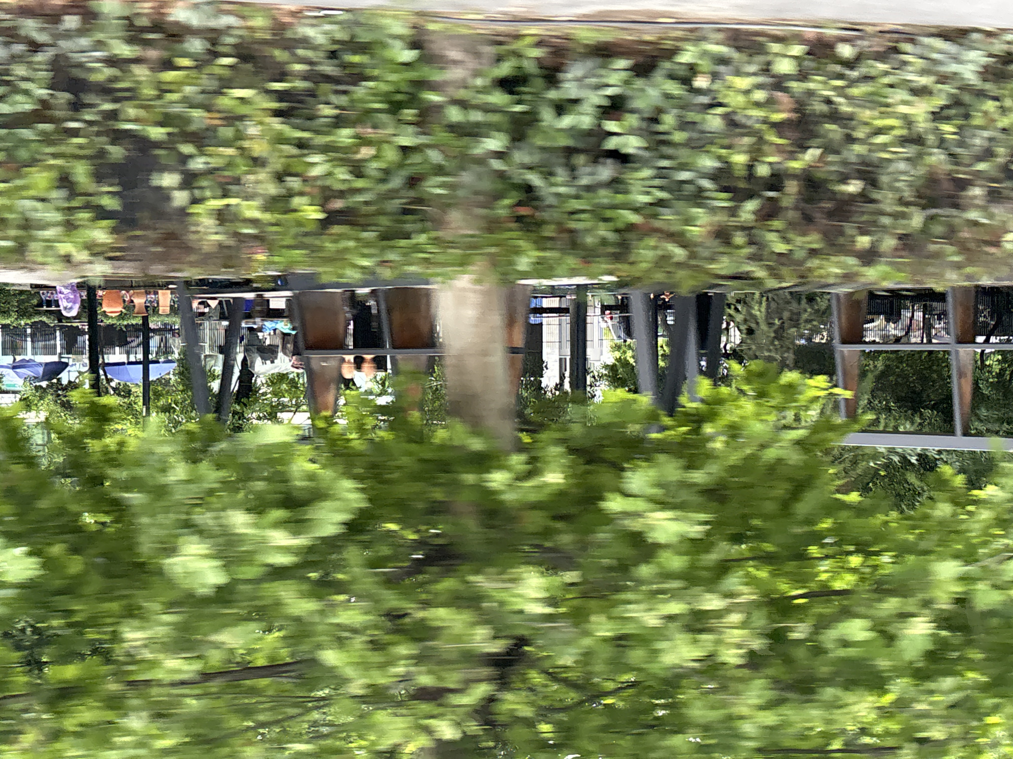 A blurred image showing an upside-down view of what appears to be a street scene in Tbilisi, Georgia. The foreground is dominated by green foliage, suggesting trees or bushes. In the inverted background, there are structures that look like a shop or market stall, with various objects, including what seem to be pots, possibly for plants. The lighting is bright, suggesting daytime. The blur indicates movement, perhaps taken from a moving vehicle.